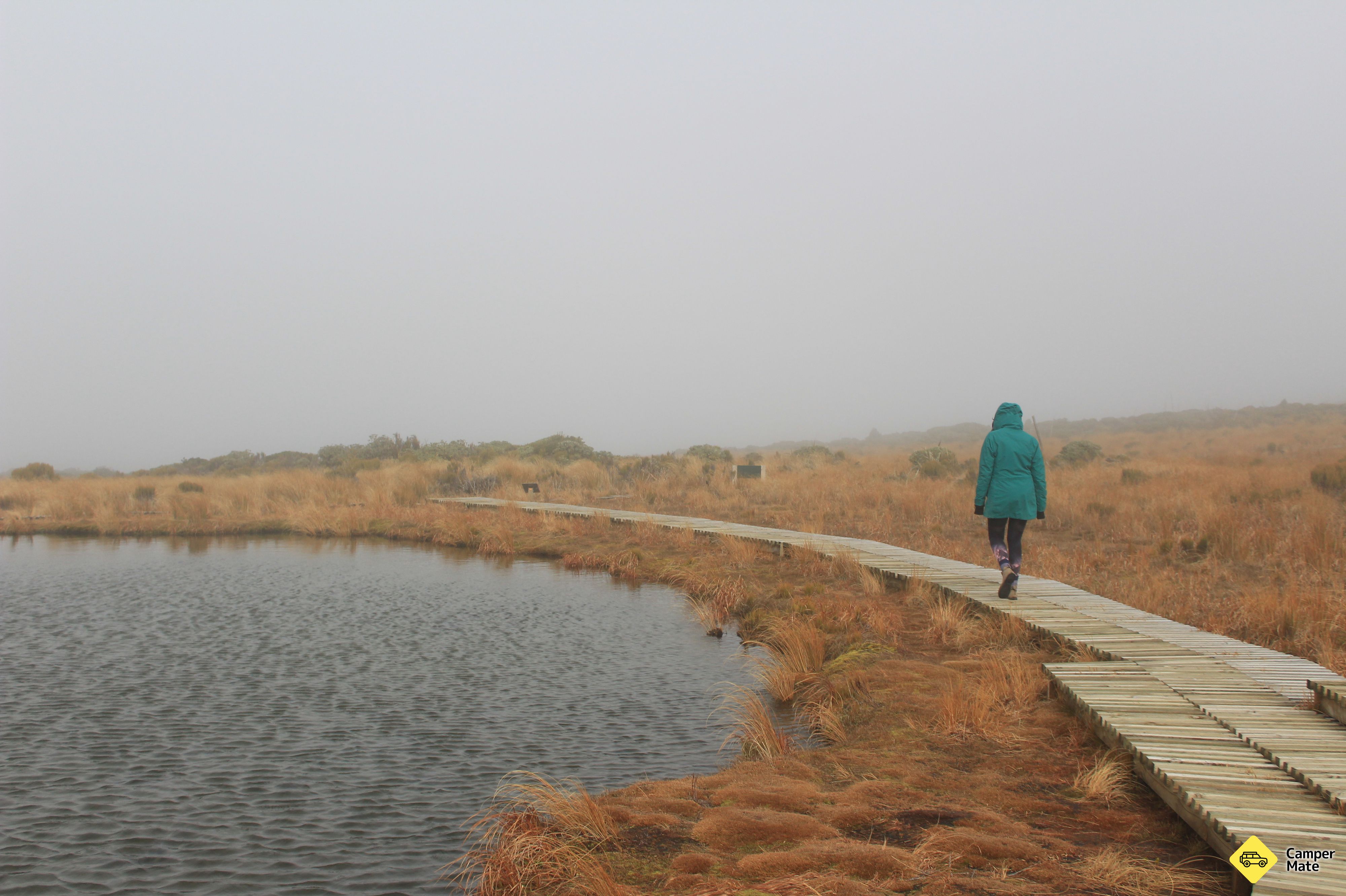 Pouakai Circuit Reflective Tarn - Image 3