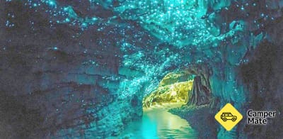 Waitomo Glowworm Tour From Auckland