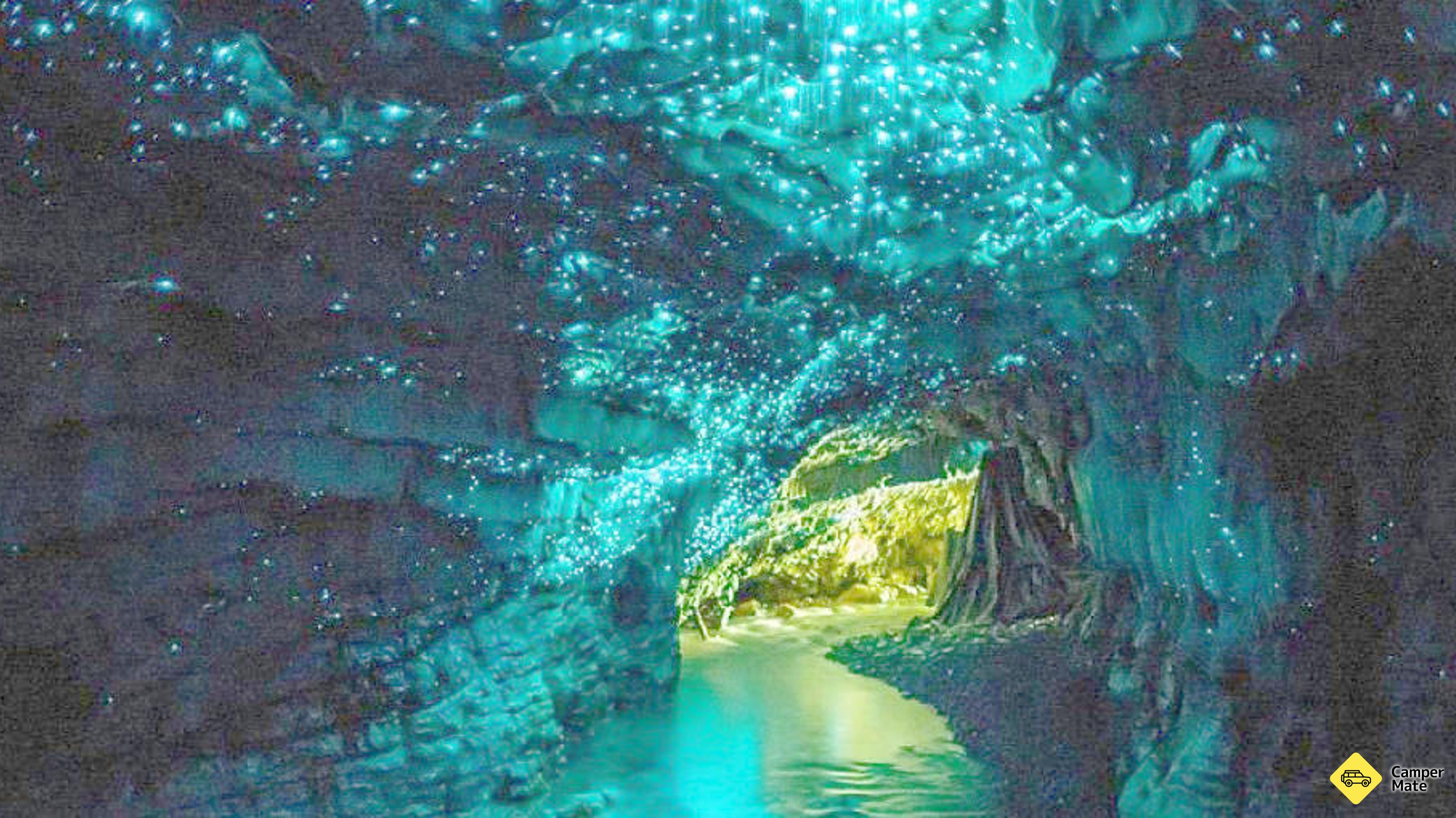 Waitomo Glowworm Tour From Auckland 근처 오락거리