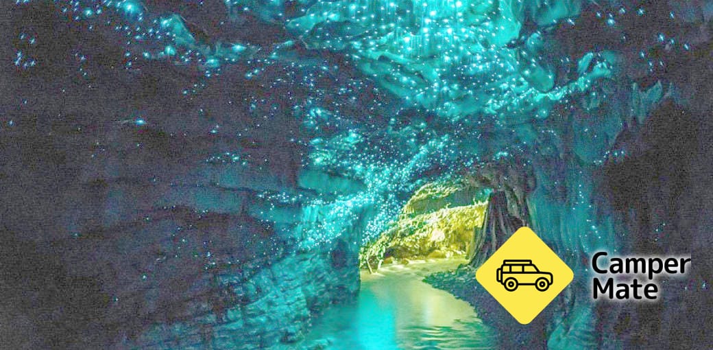 Waitomo Glowworm Tour From Auckland