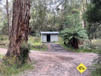 Comet Flat - Woods Point