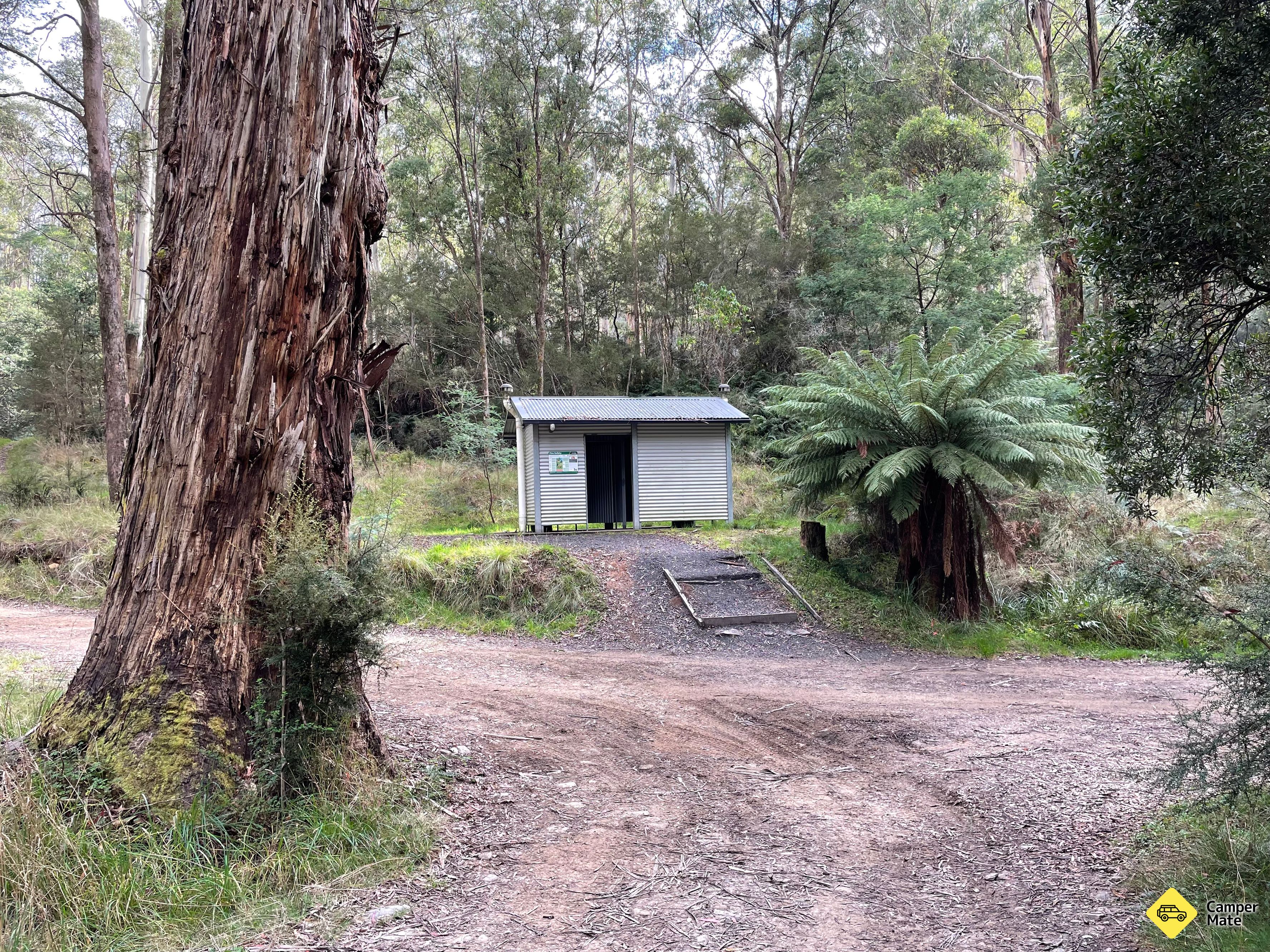 Comet Flat - Woods Point