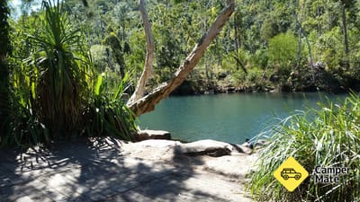 Stony Creek Rainforest Circuit