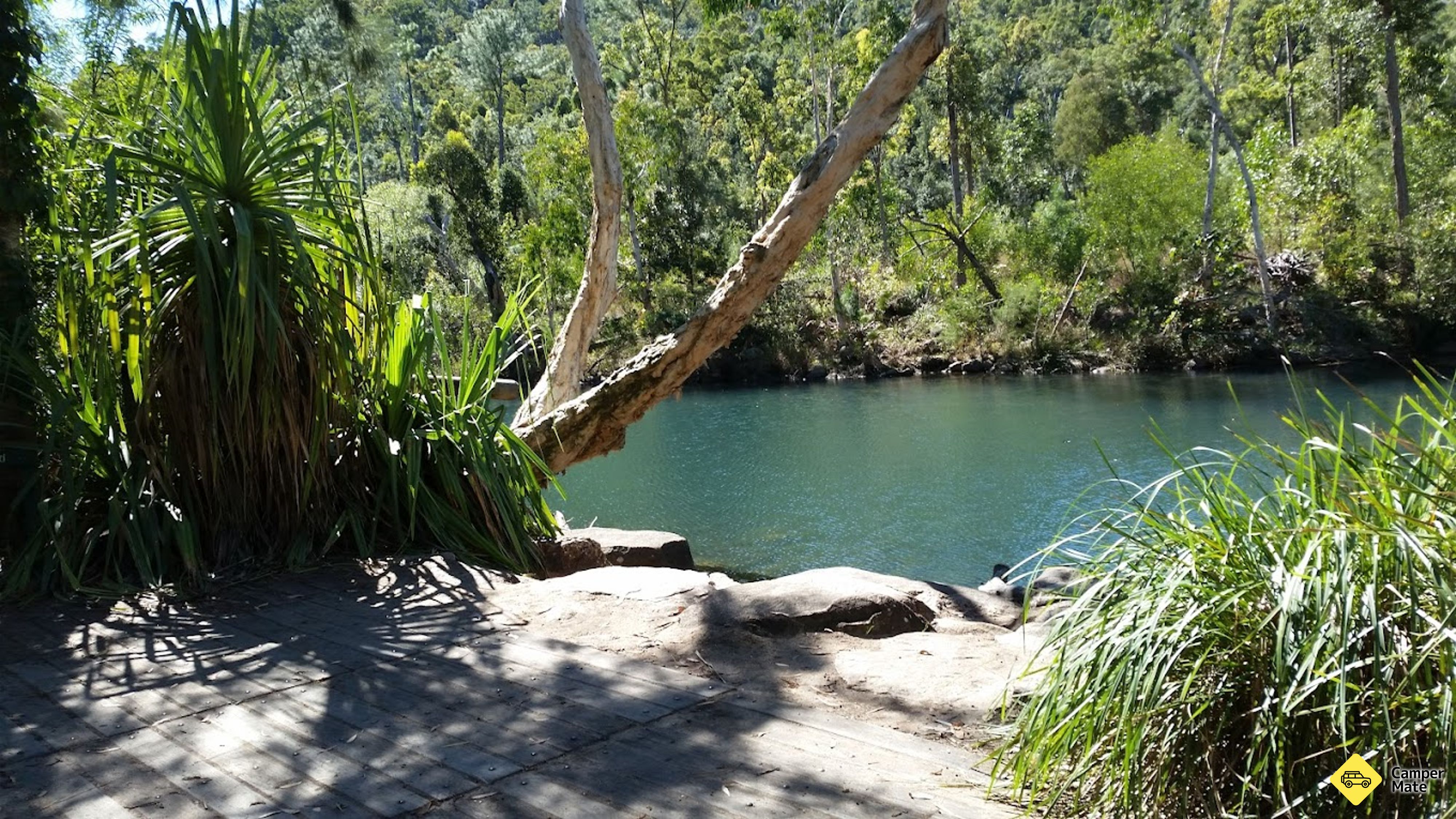 Circuito di Stony Creek Rainforest