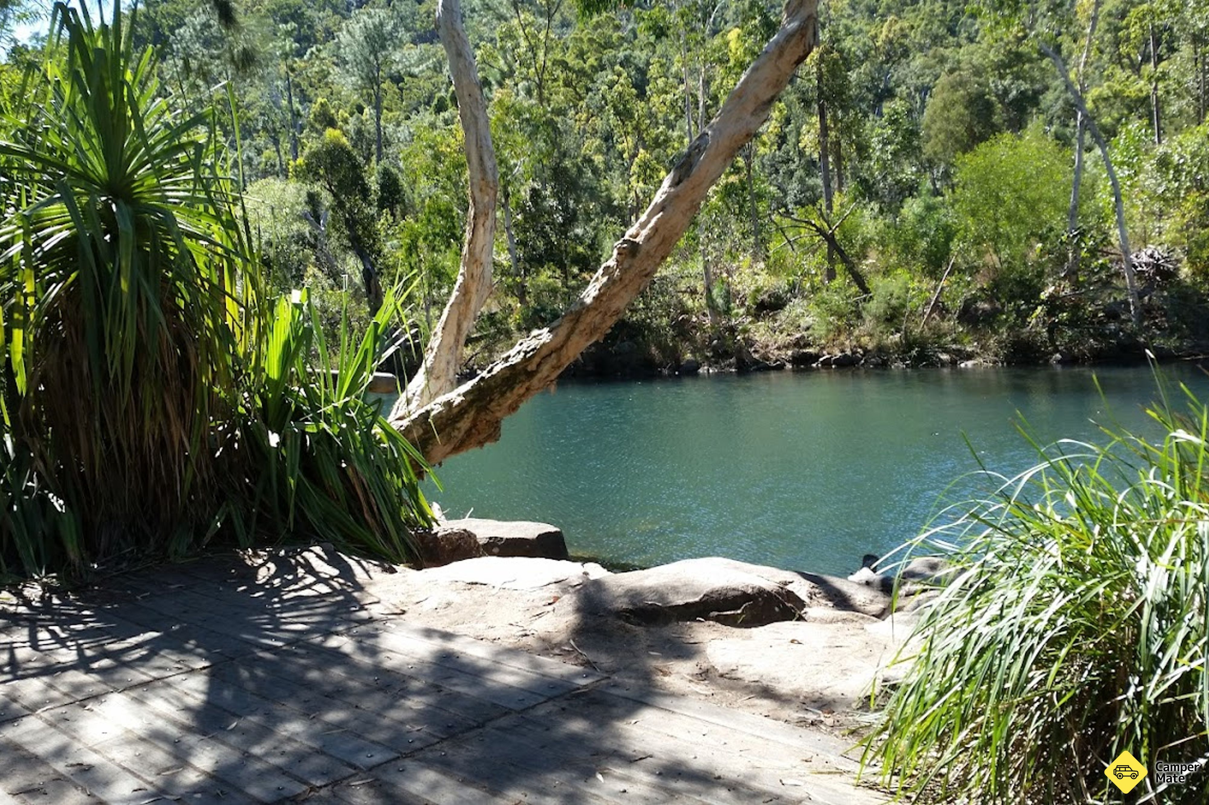Circuito di Stony Creek Rainforest