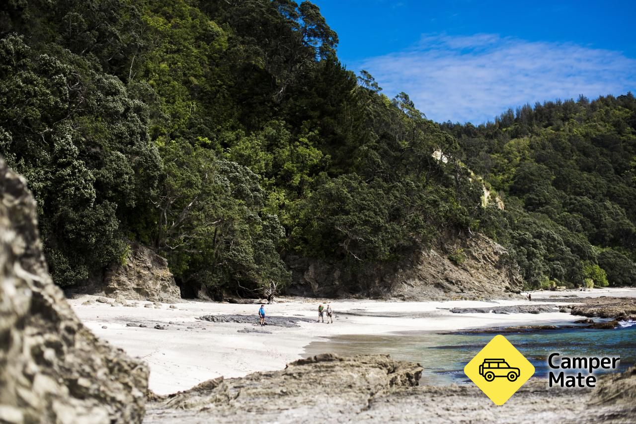 Otarawairere Beach and Walk - Image 3