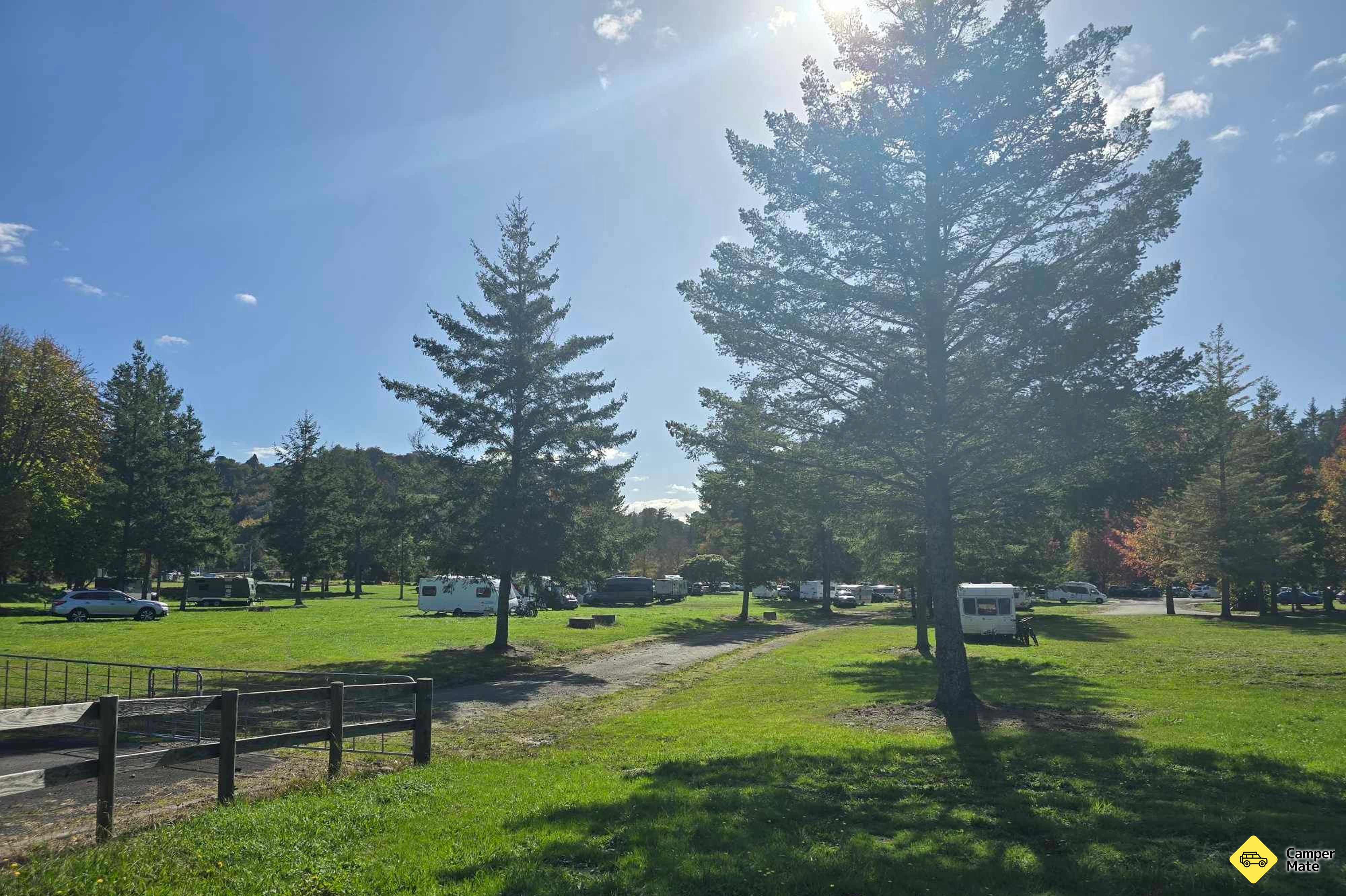 Waipa Forest Camp - Image 3