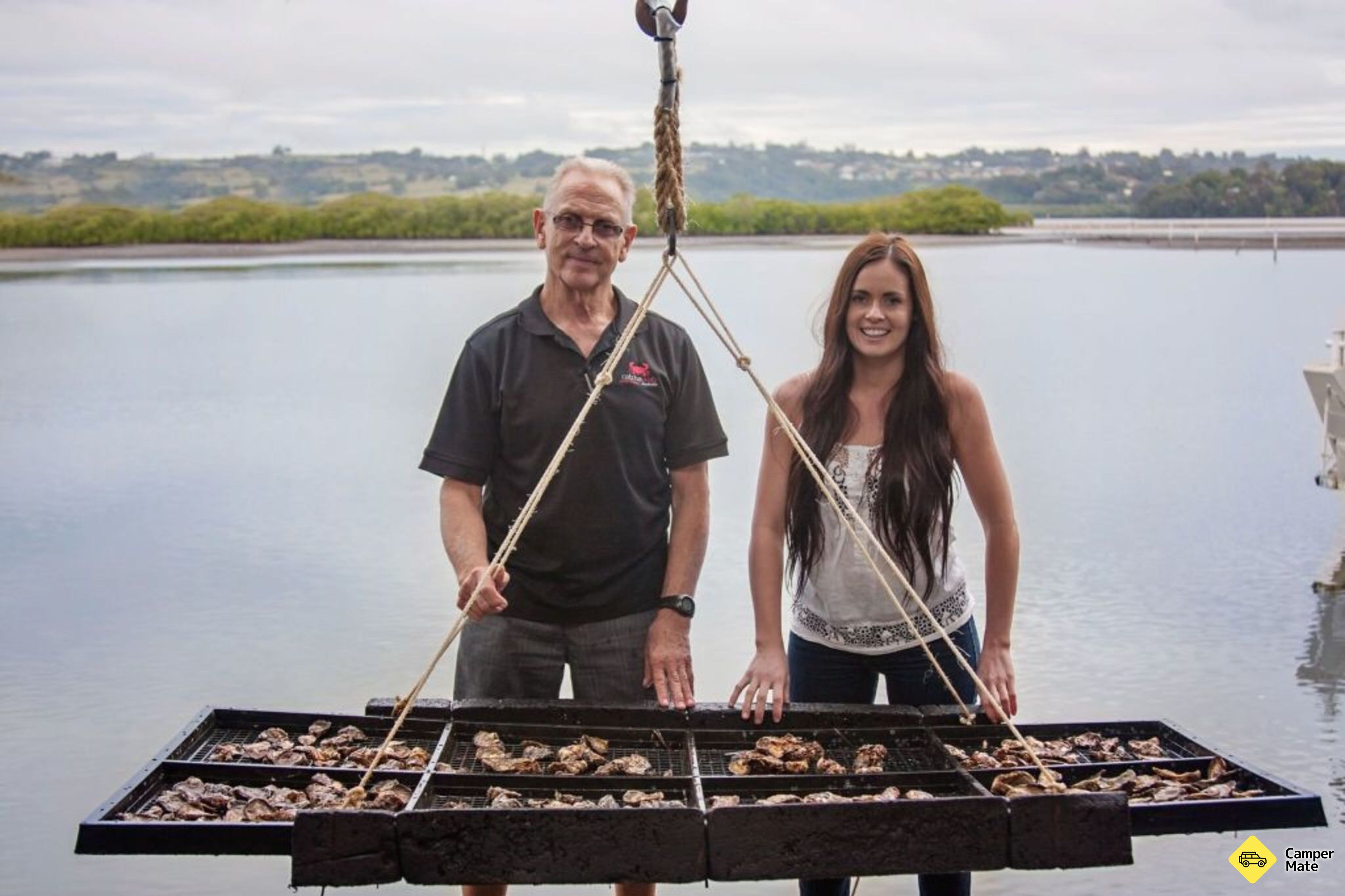 Oryginalny Oyster Shed - Image 3