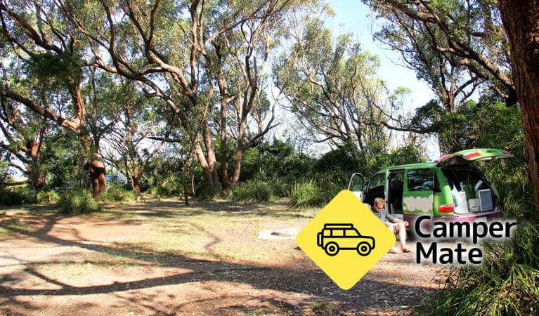 Aragunnu Campground - Image 3