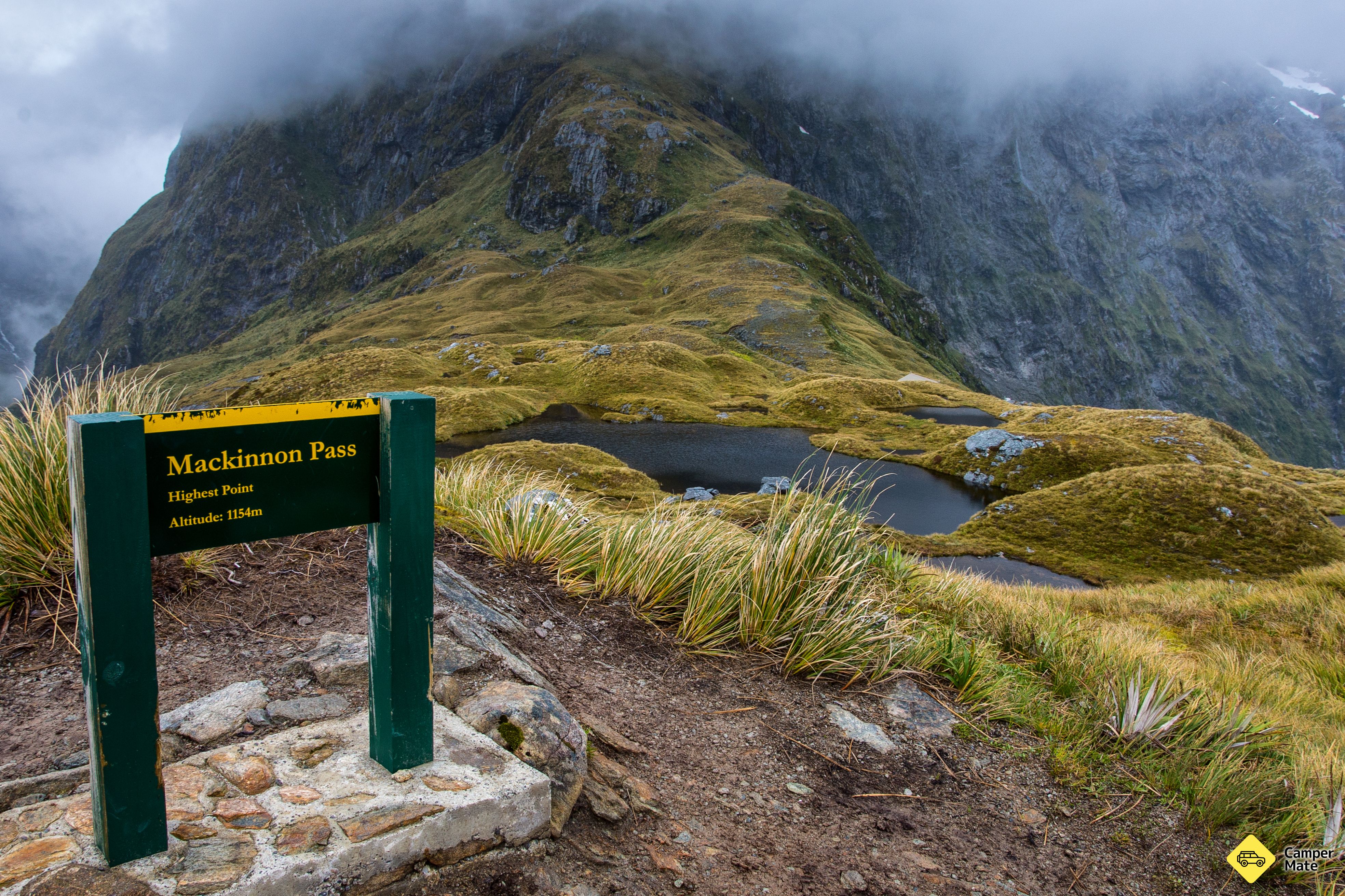Milford Track - Image 3
