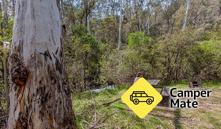 Buddong Falls Campground - Image 3