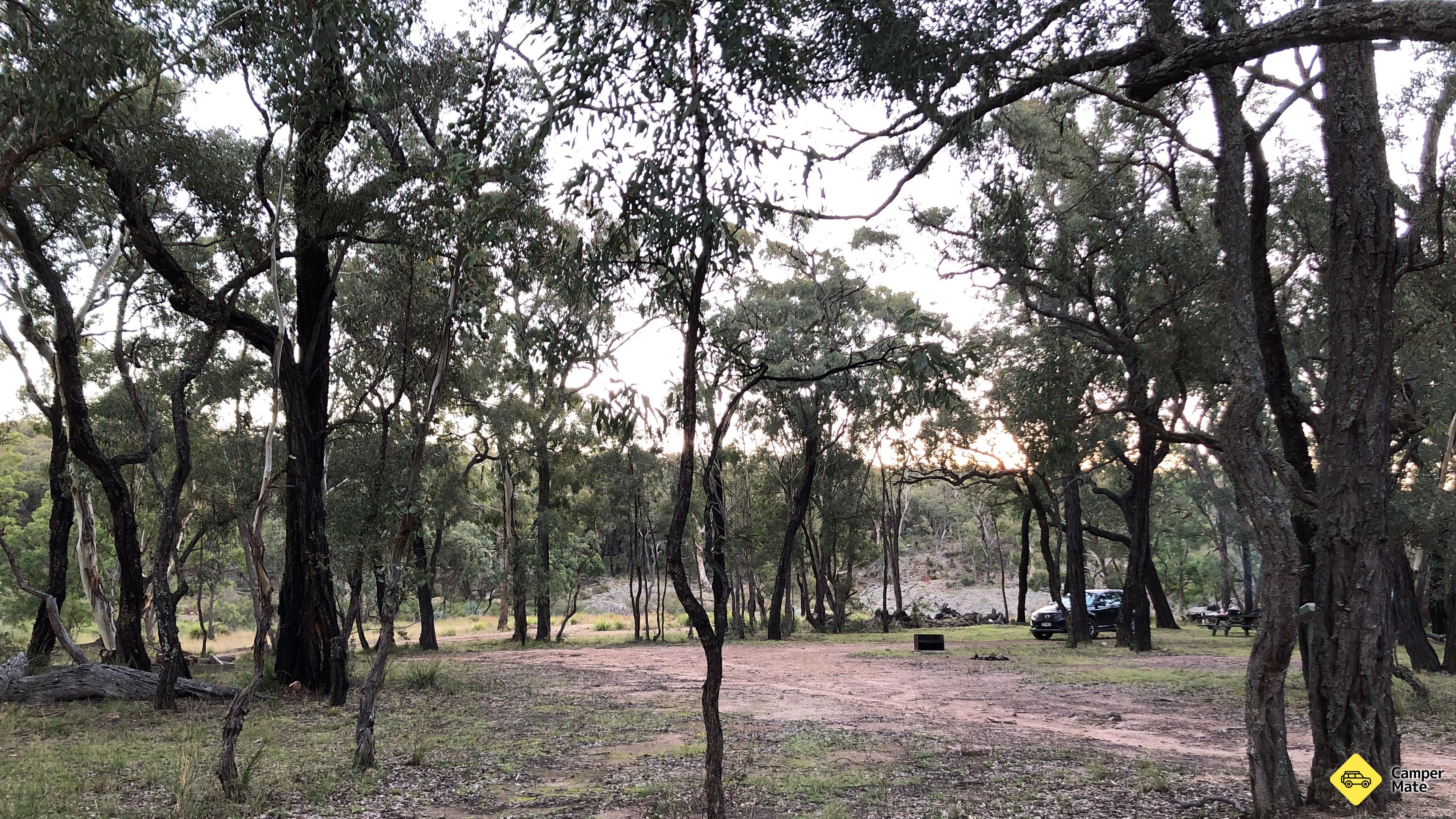 Aktivitäten in der Nähe von Kings Plains Creek Camping
