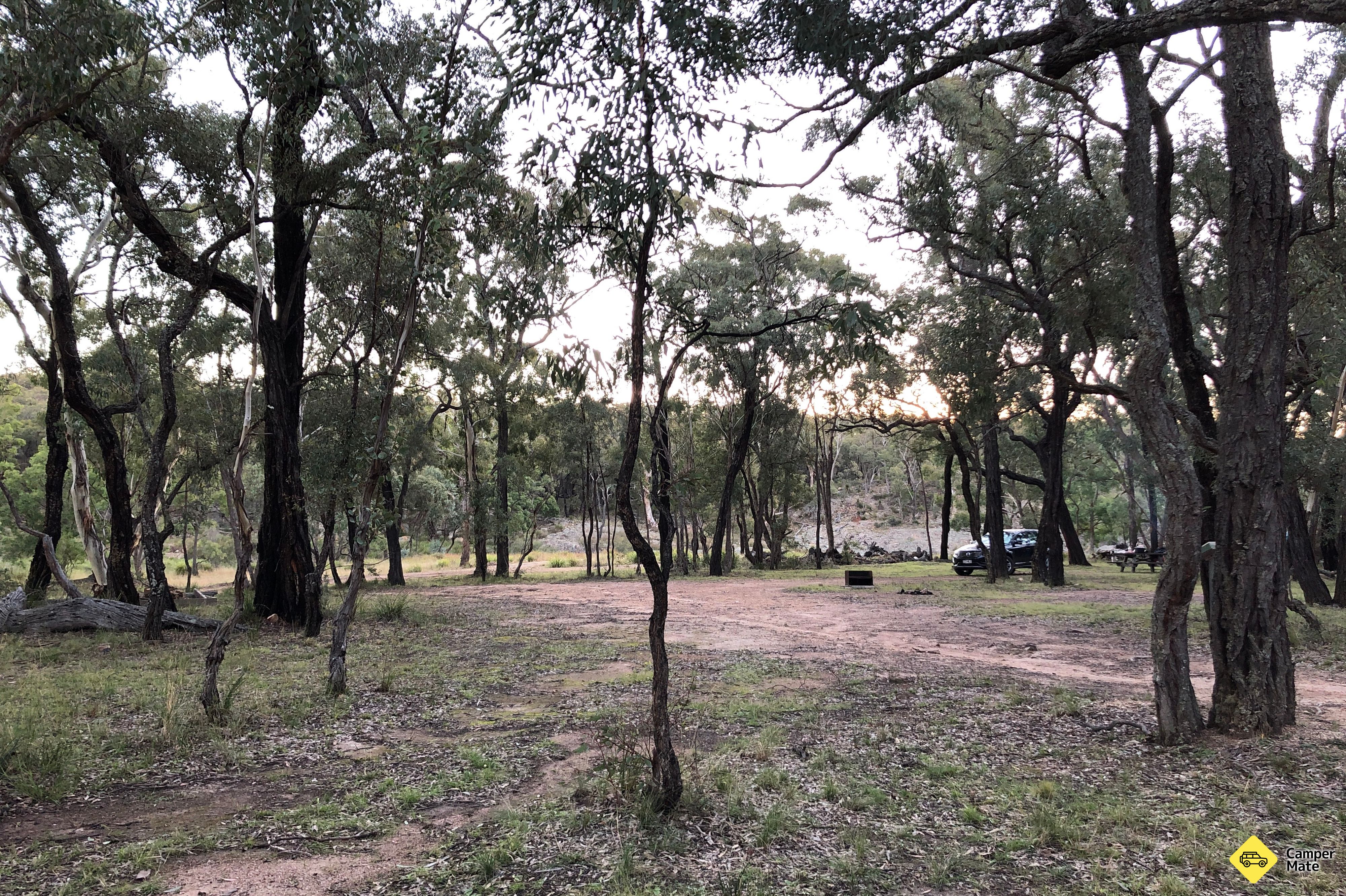 Aktivitäten in der Nähe von Kings Plains Creek Camping