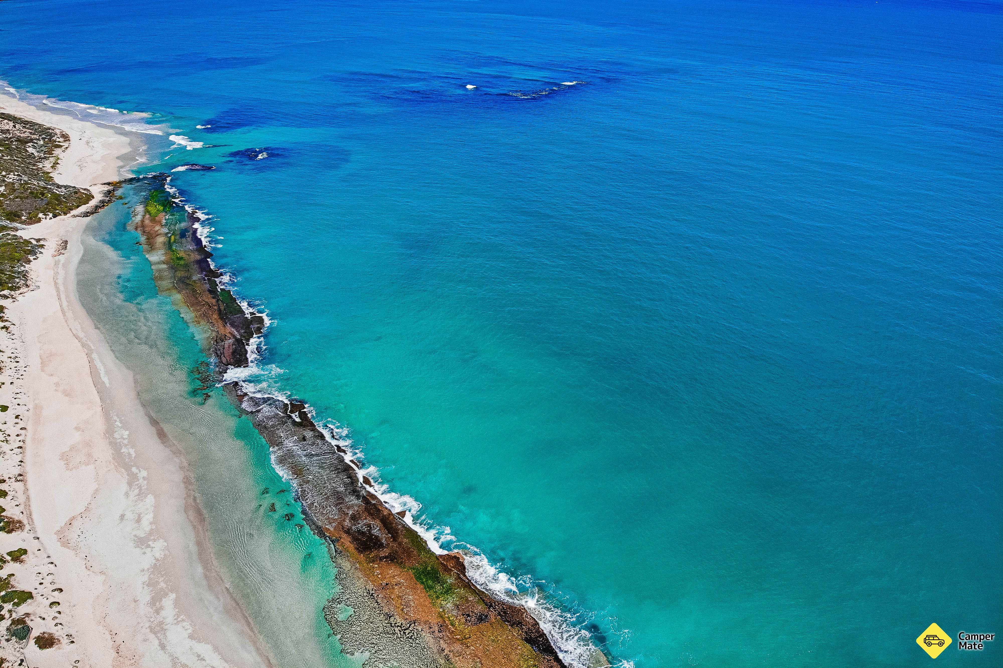 Yanchep Lagoon yang - Image 3