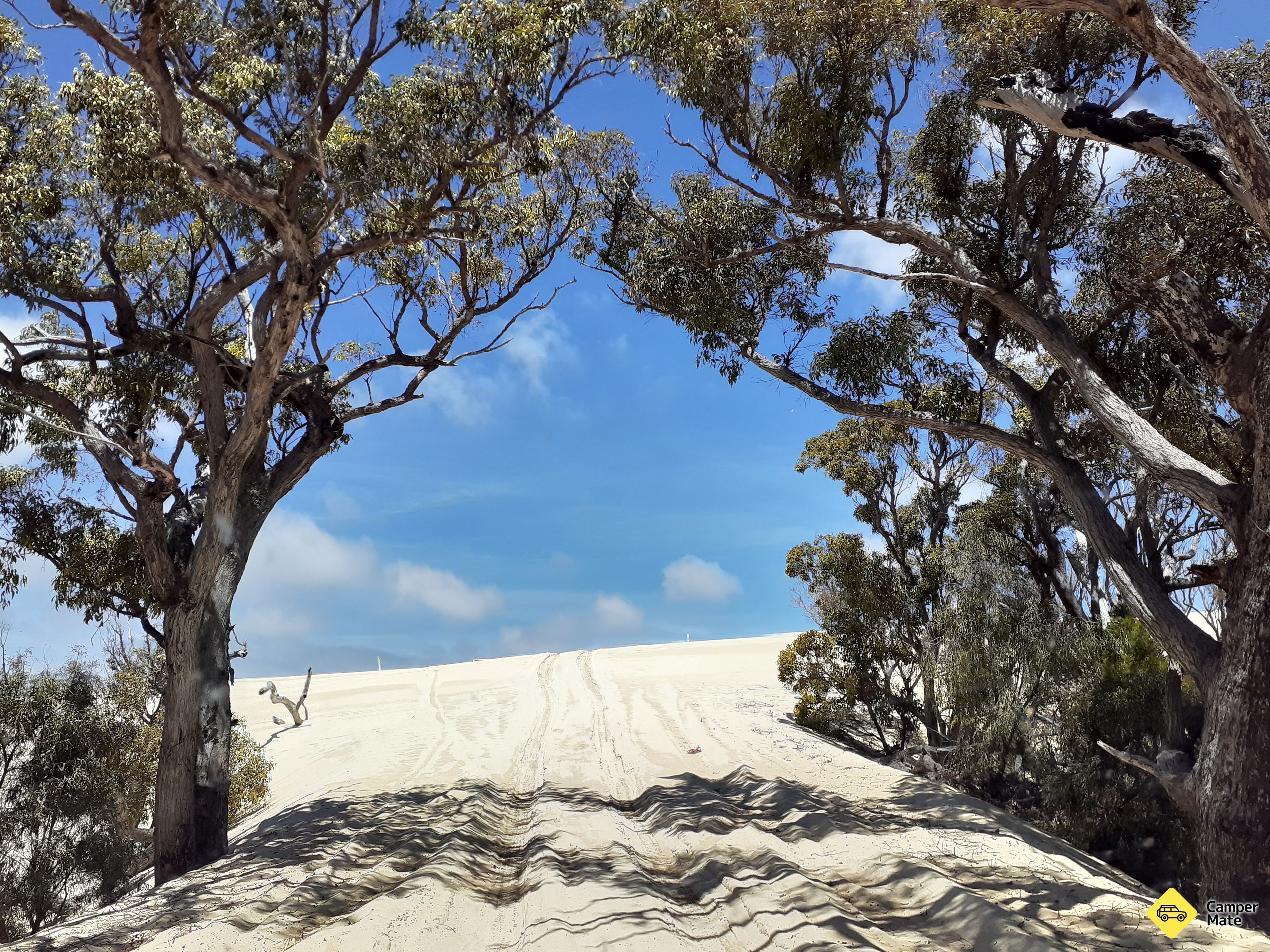Dune de nisip Yeagerup - Image 3