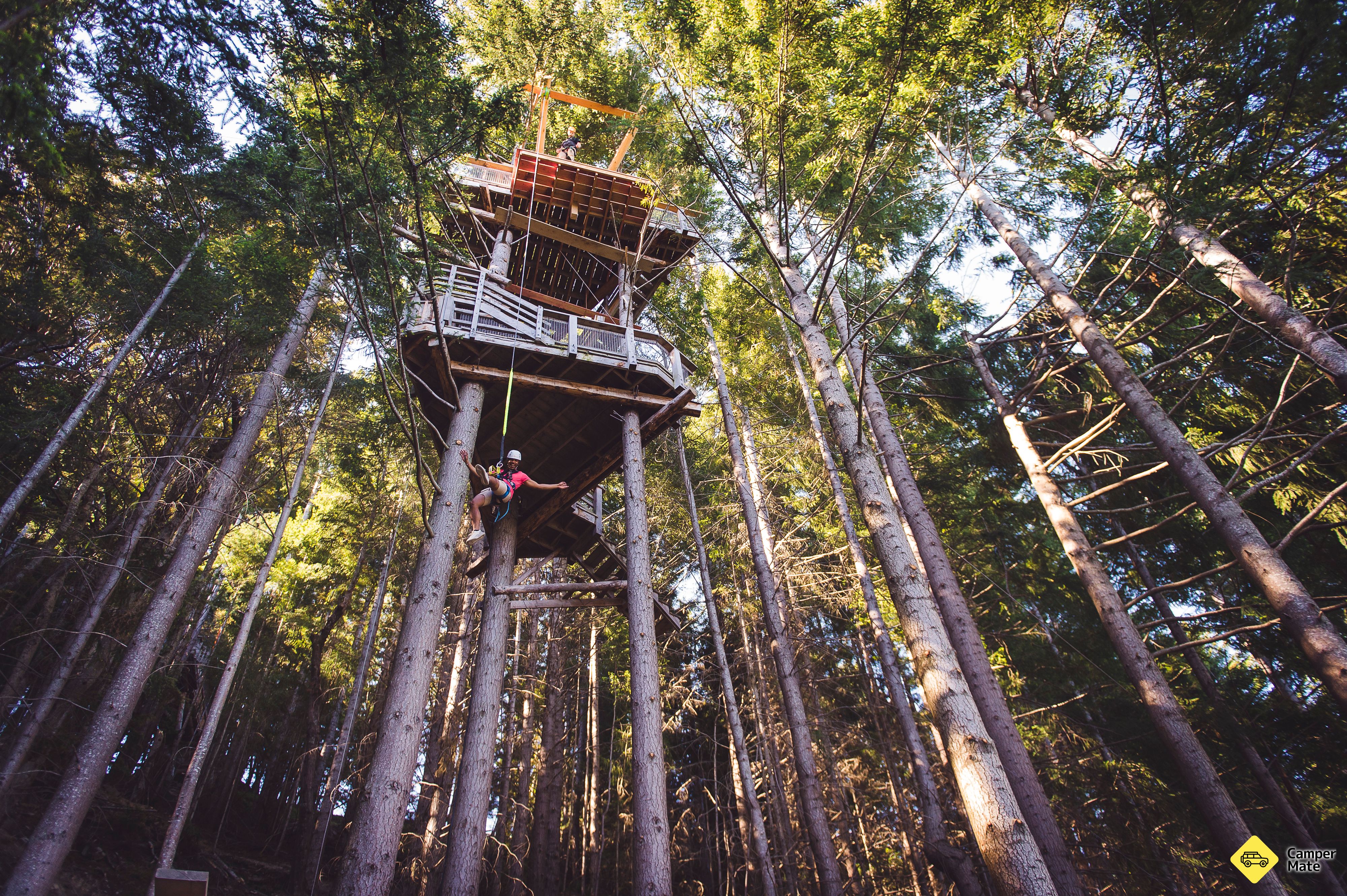 Ziptrek Ecotours - Image 2
