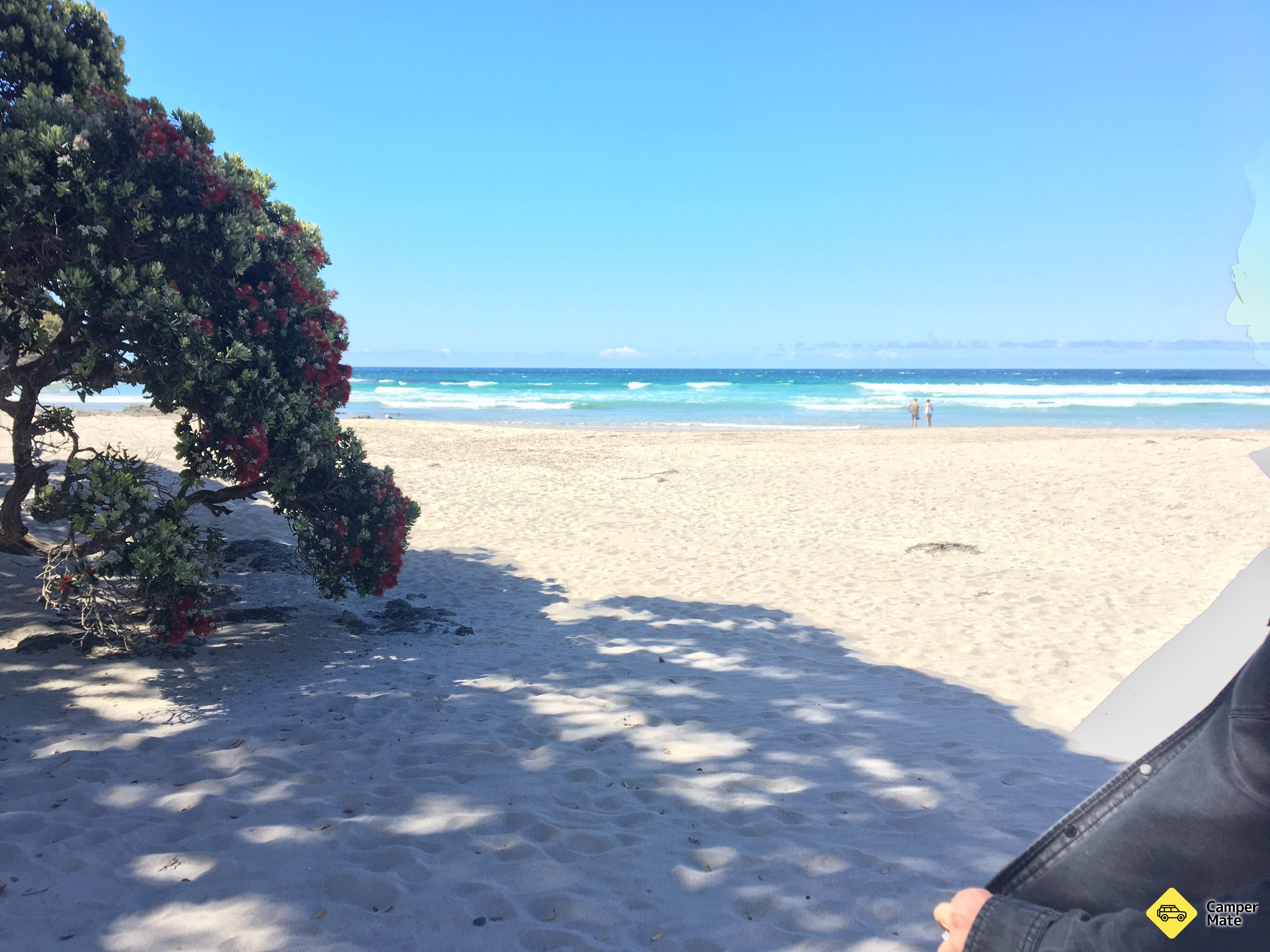 Tapotupotu Bay - Image 3