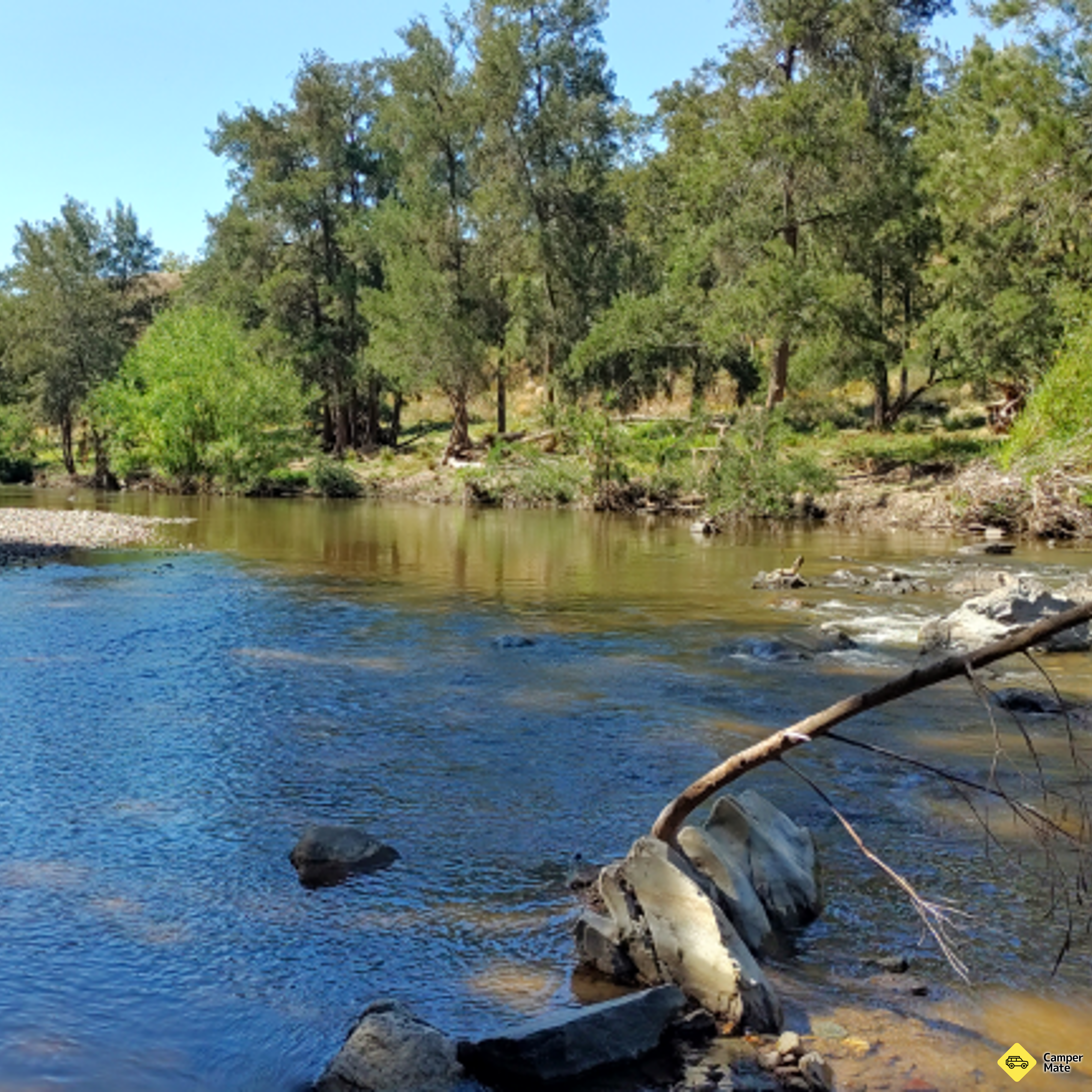 Native Dog Reserve - Image 2
