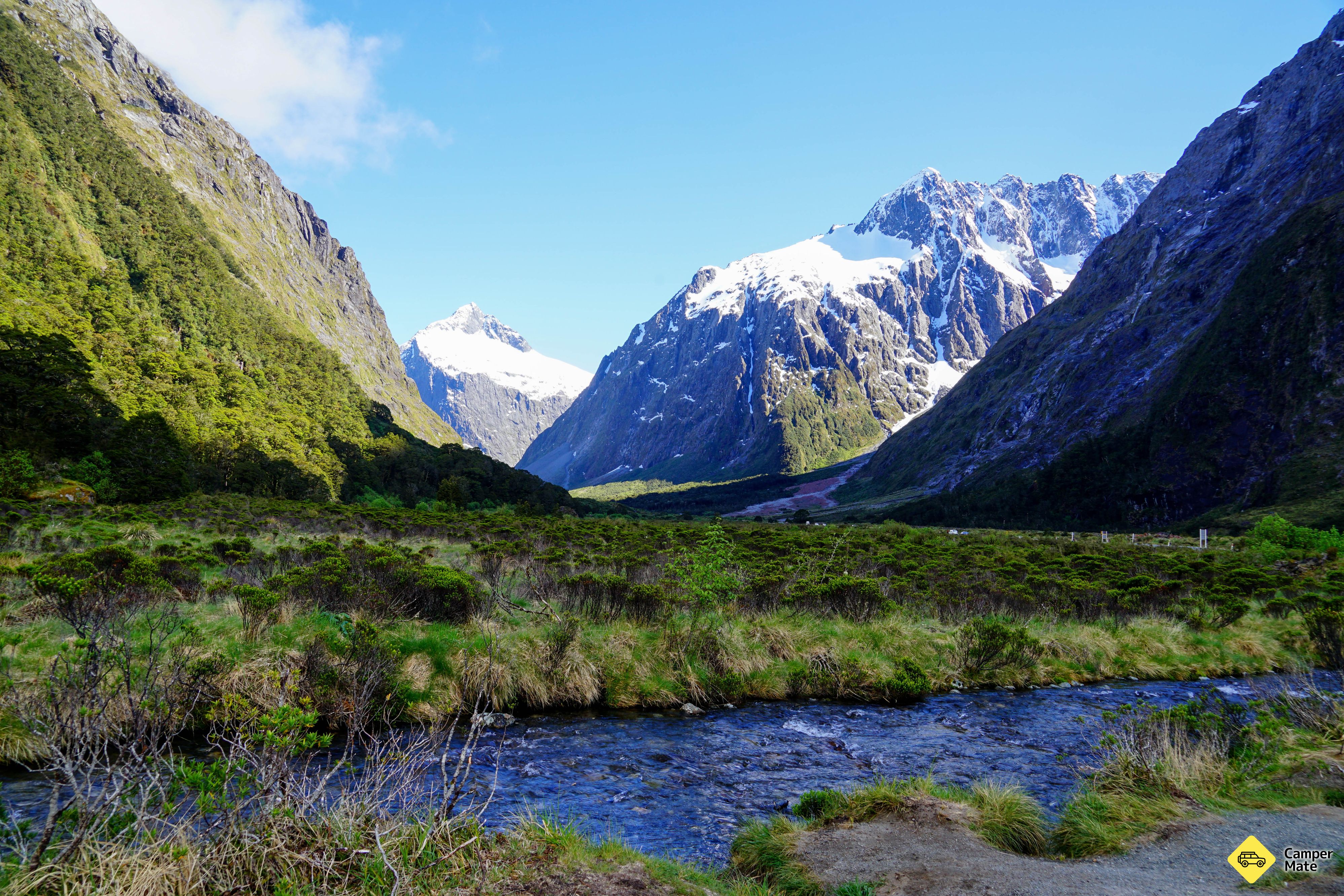 Monkey Creek - Image 3