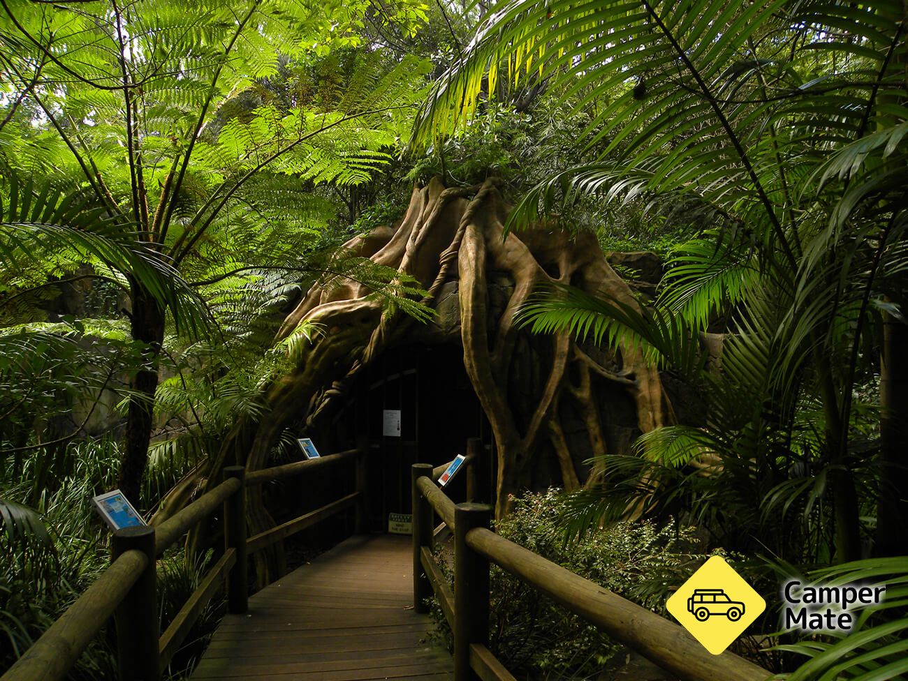 Glow Worm Caves Tamborine Mountain - Image 2