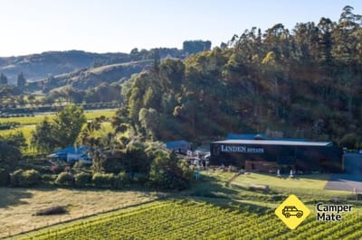 Linden Estate Viñedos