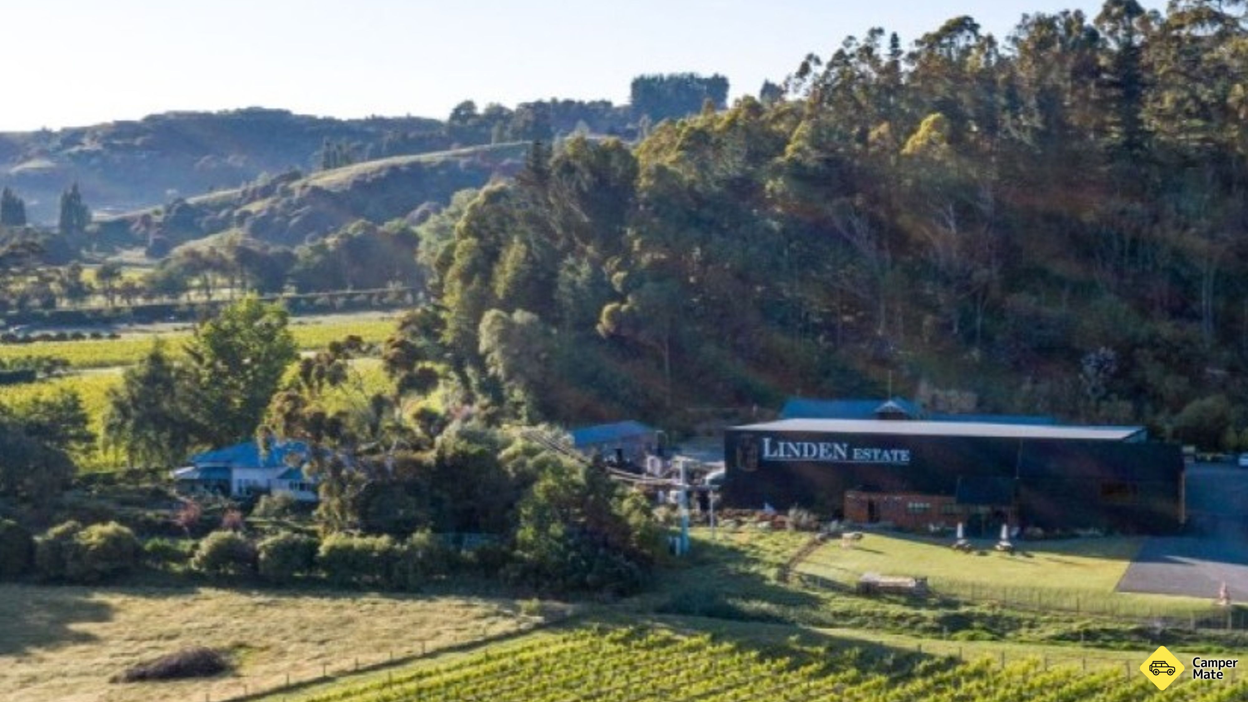 Linden Estate viinitarha
