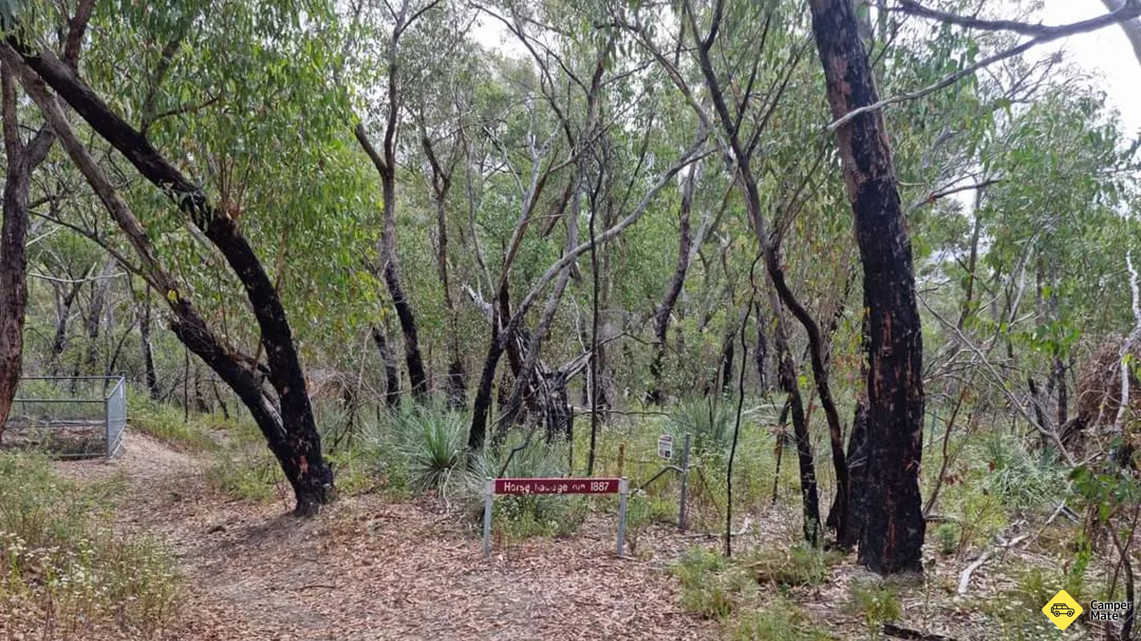 Jupiter Creek Gold Diggings Trail