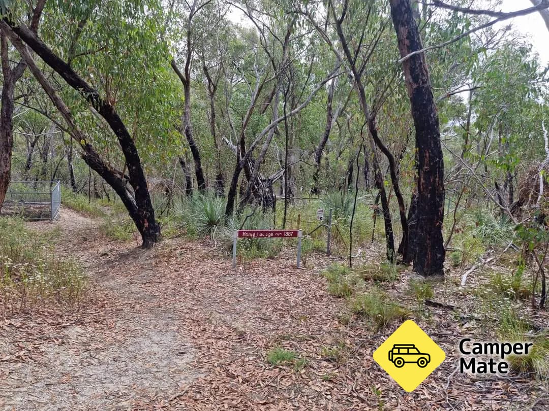 Jupiter Creek Gold Diggings Trail