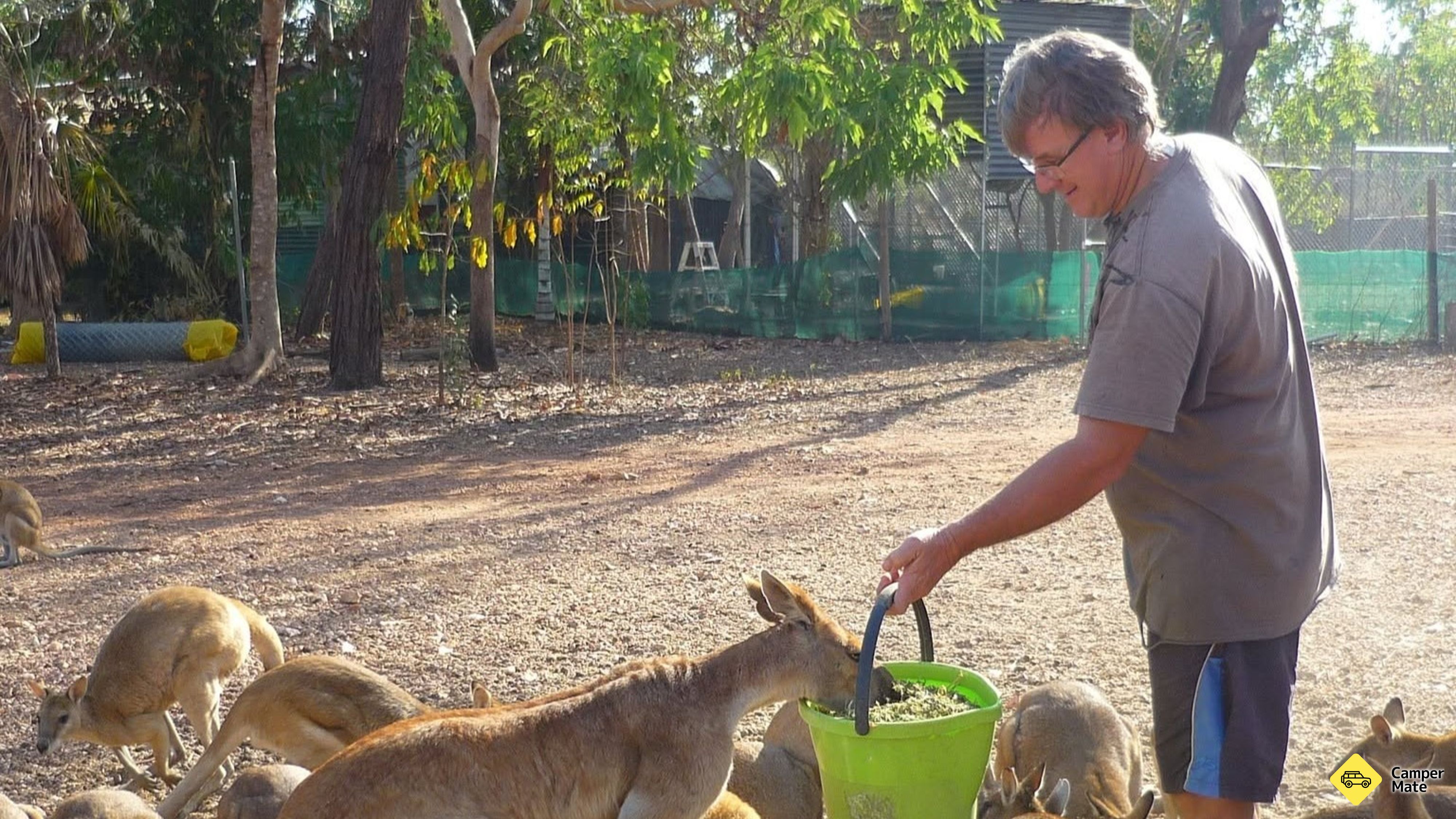 Hal yang dapat dilakukan di dekat Ninas Ark Wildlife Sanctuary