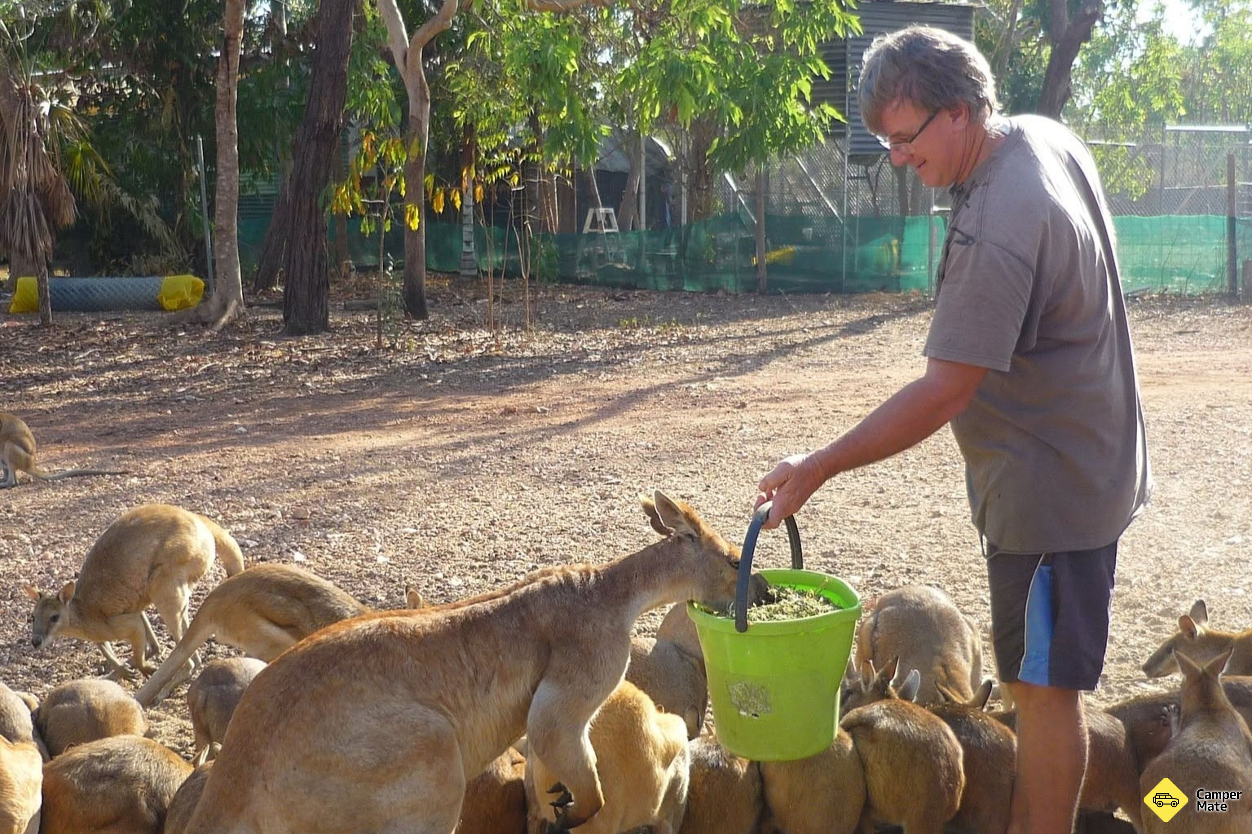 Hal yang dapat dilakukan di dekat Ninas Ark Wildlife Sanctuary