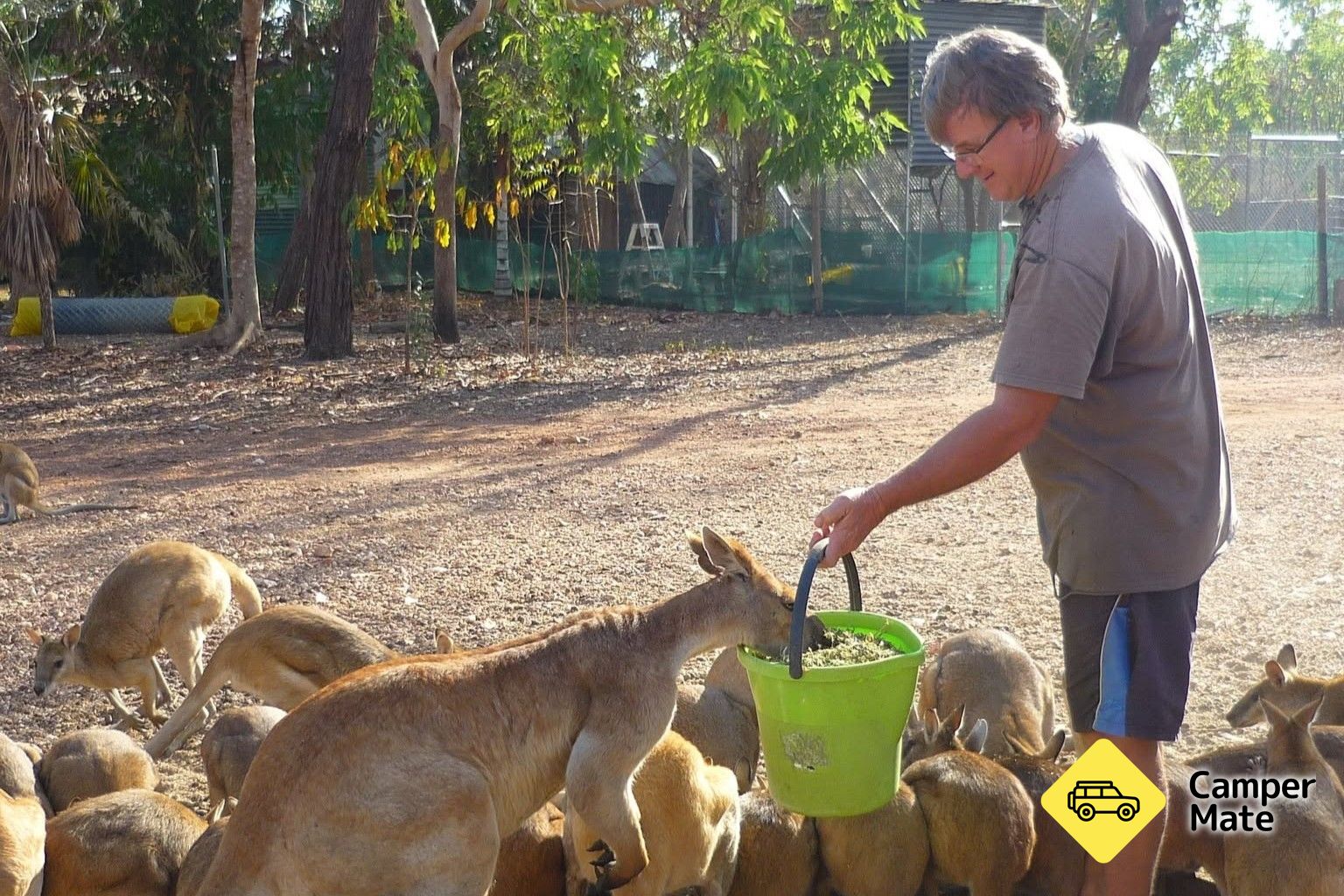 Ninas Ark Wildlife Sanctuary