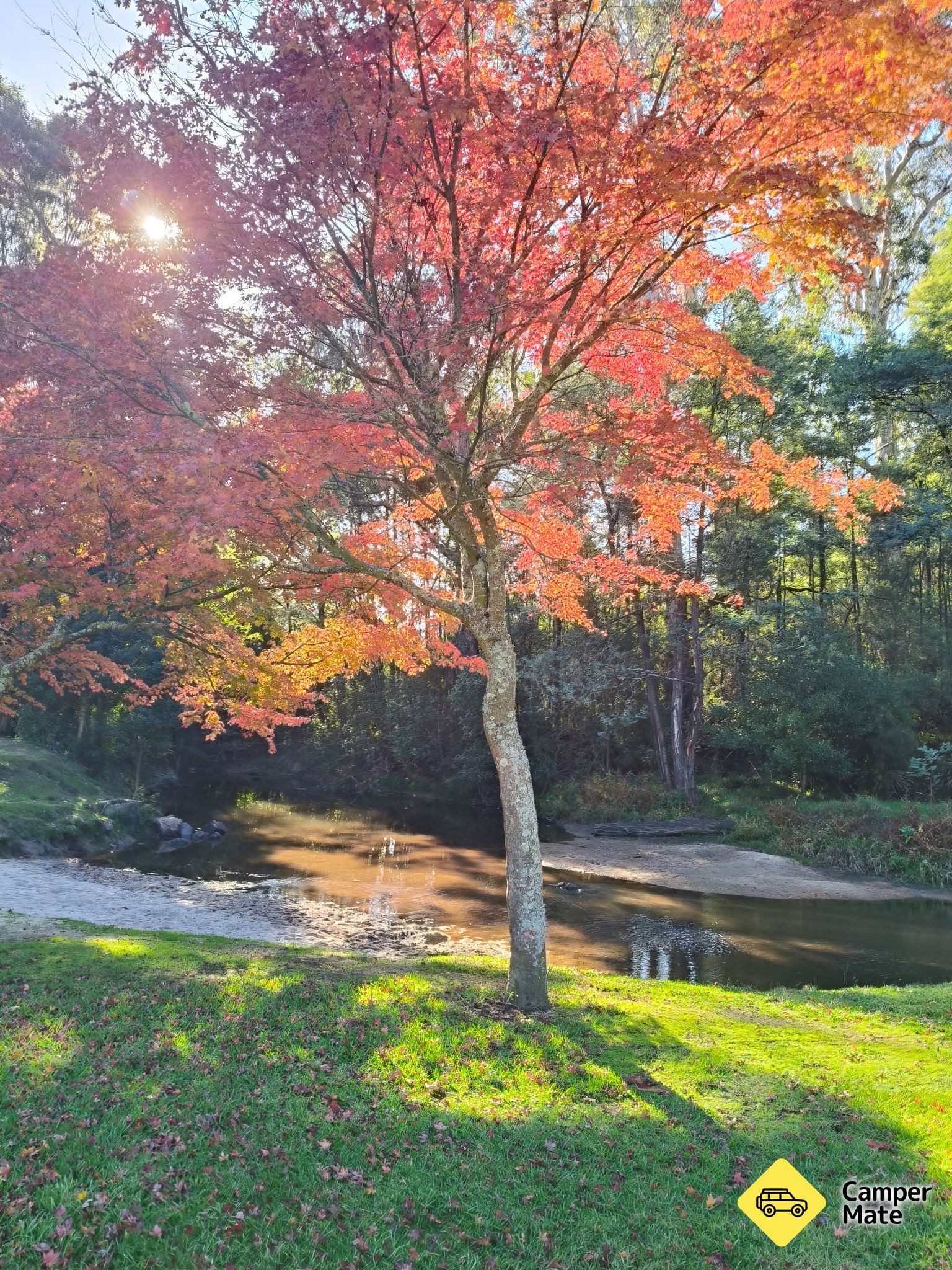 אתר Glen Cromie Reserve