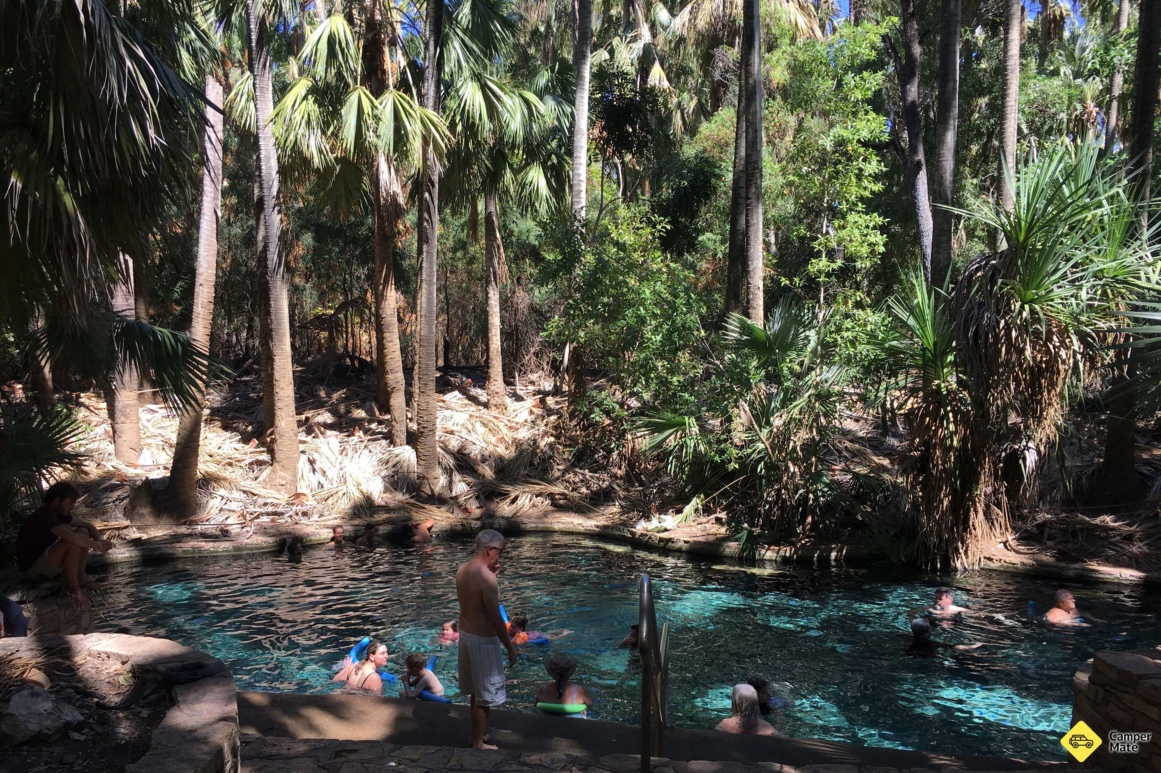 Katherine Pool Mataranka Thermal Pool, Katherine Daly, Northern Territory, Australia ...