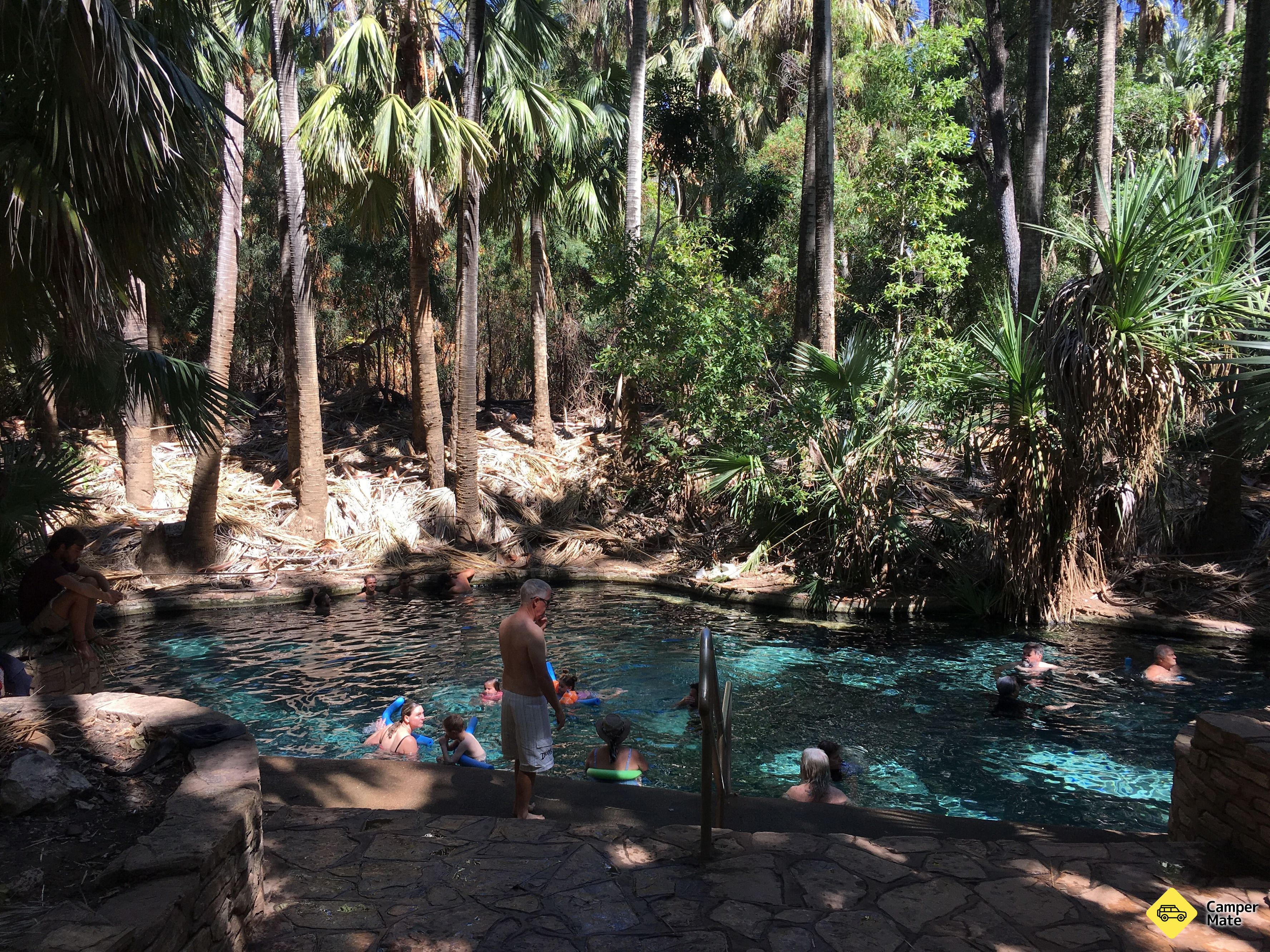 Mataranka Thermal Pool, Katherine Daly, Northern Territory, Australia ...
