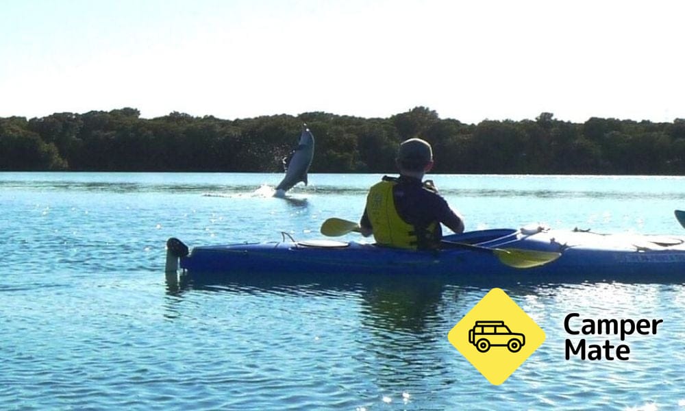Dolphin Sanctuary & Ships Graveyard Kayak Tour