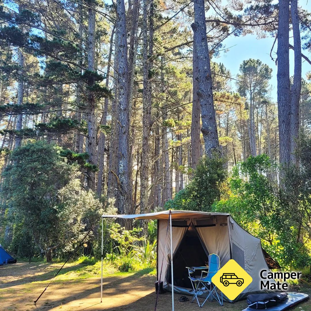 Opoutere Coastal Camping - Image 2