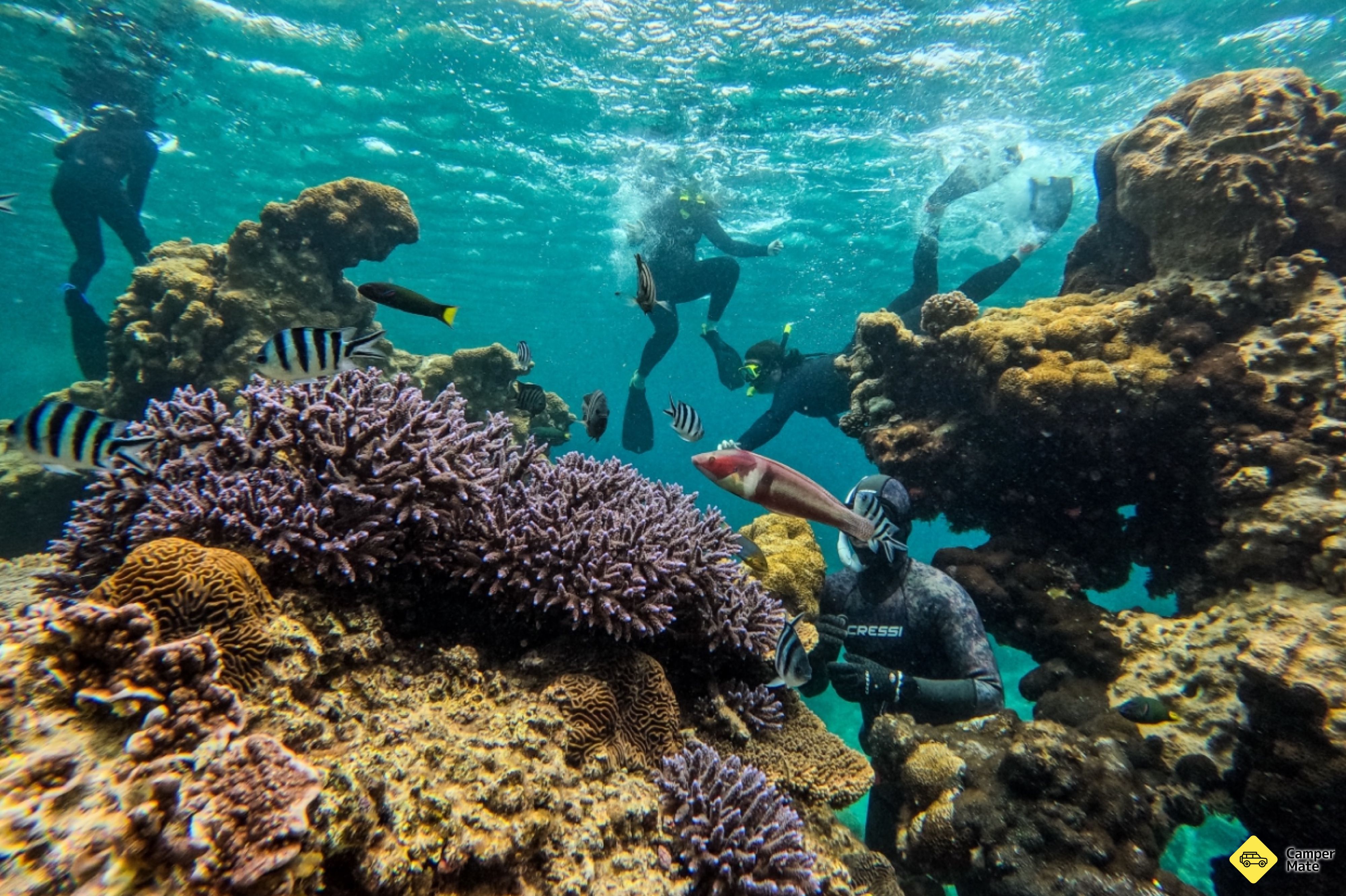 Jurien Bay Oceanic Experience - Image 2