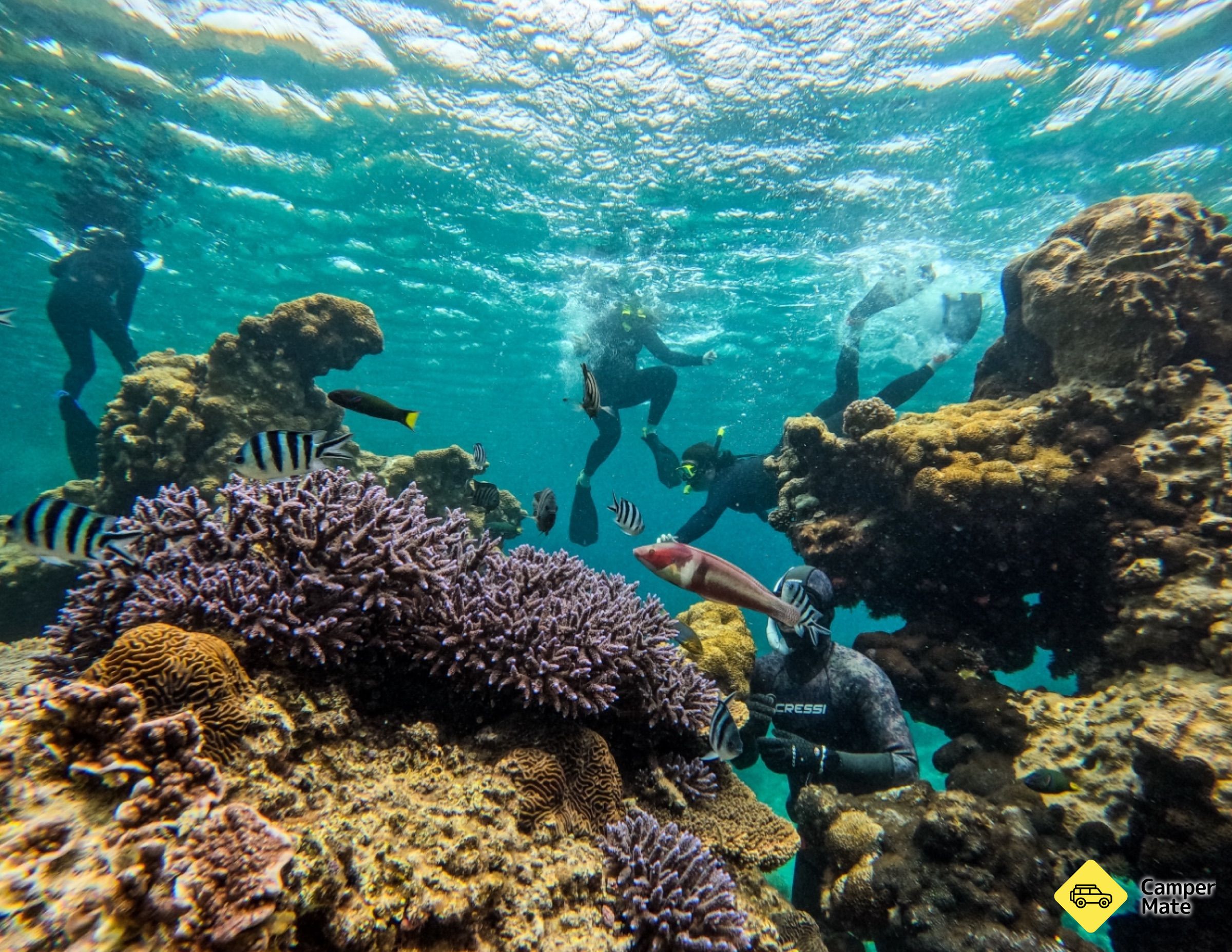 Jurien Bay Oceanic Experience - Image 2