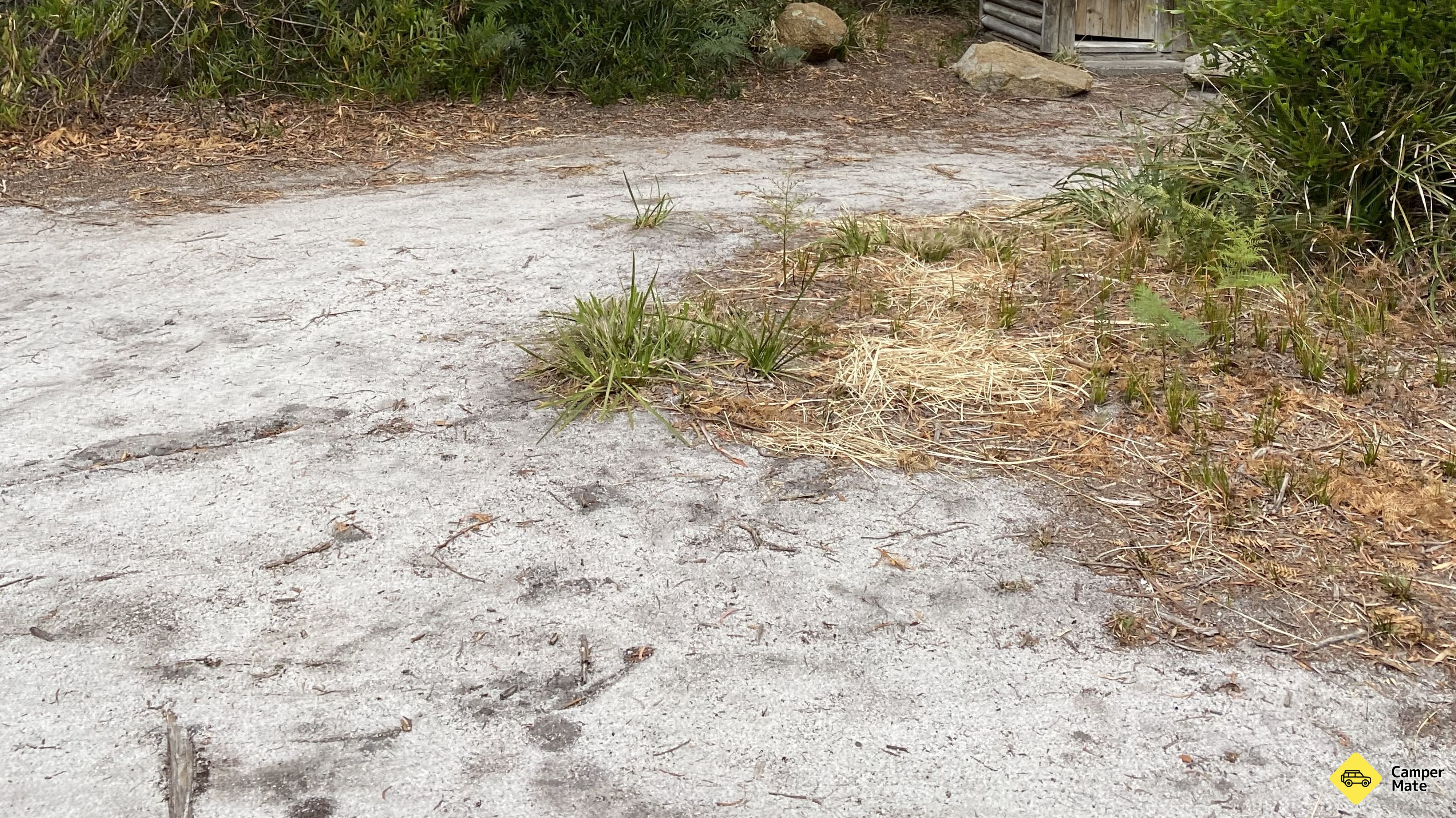 Dora Point Camping Area photo 4
