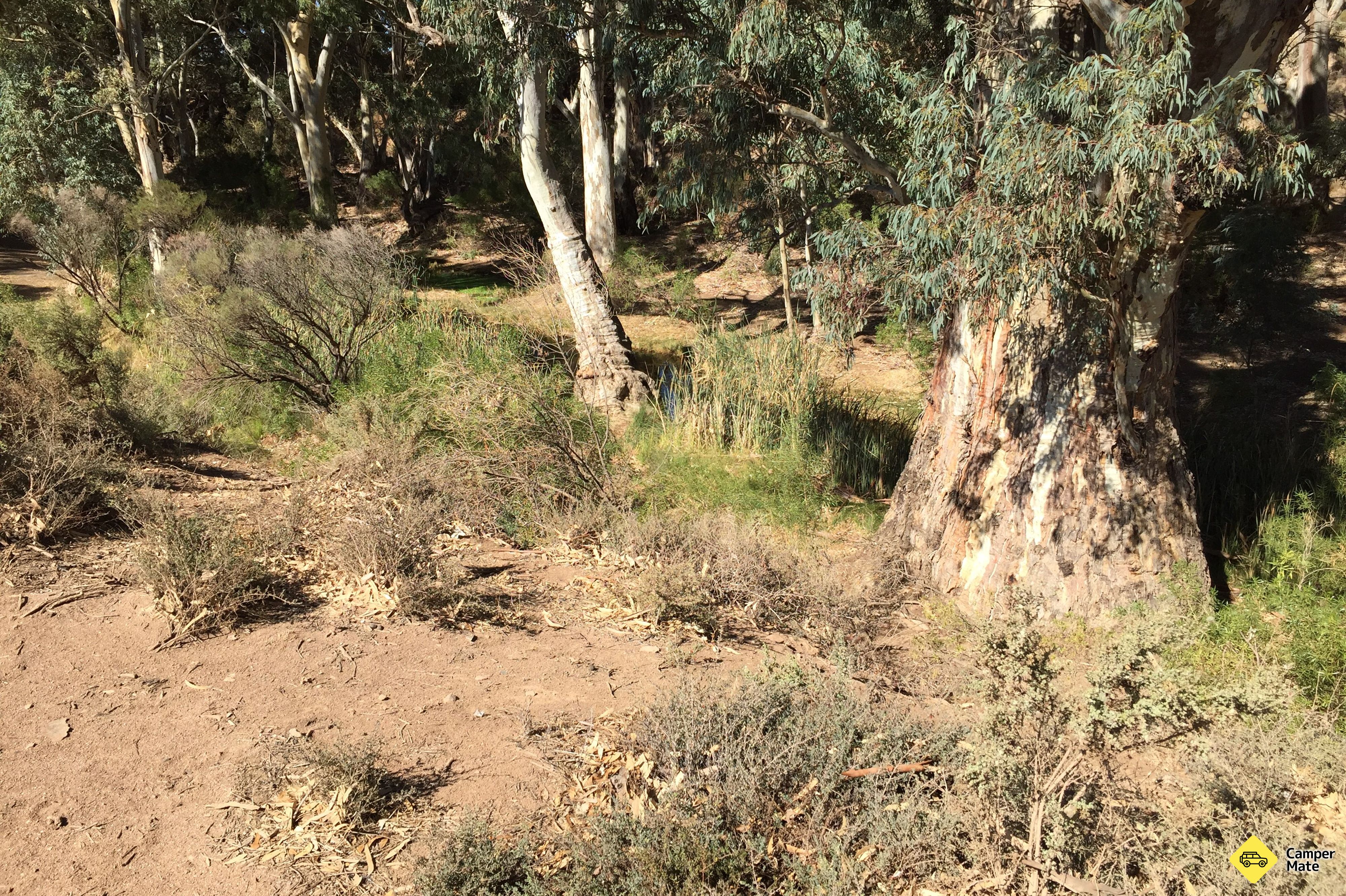 Burra Creek Gorge Reserve (Worlds End) - Image 3