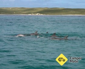 Louisa Bay lejr