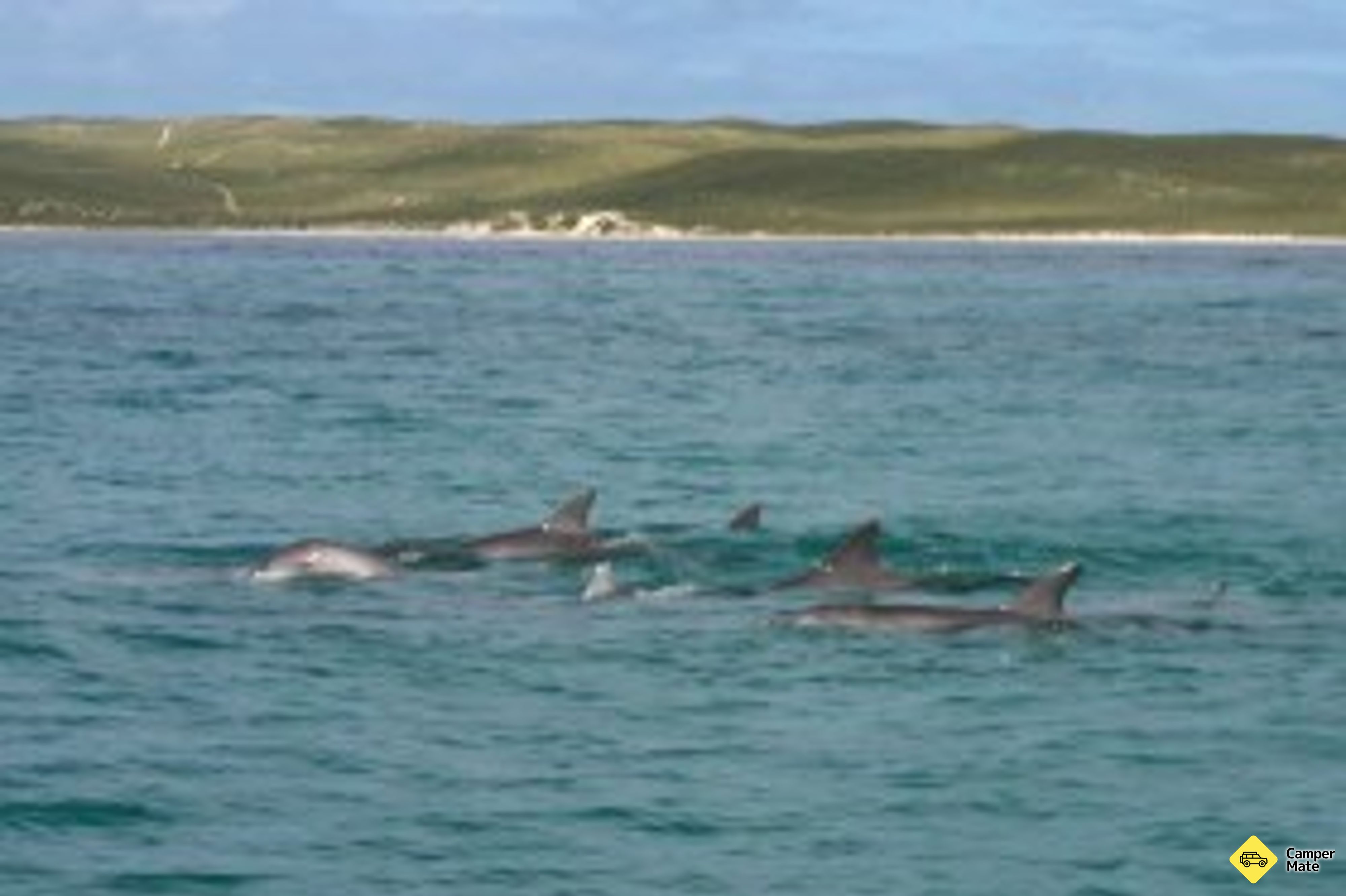 Obóz Louisa Bay