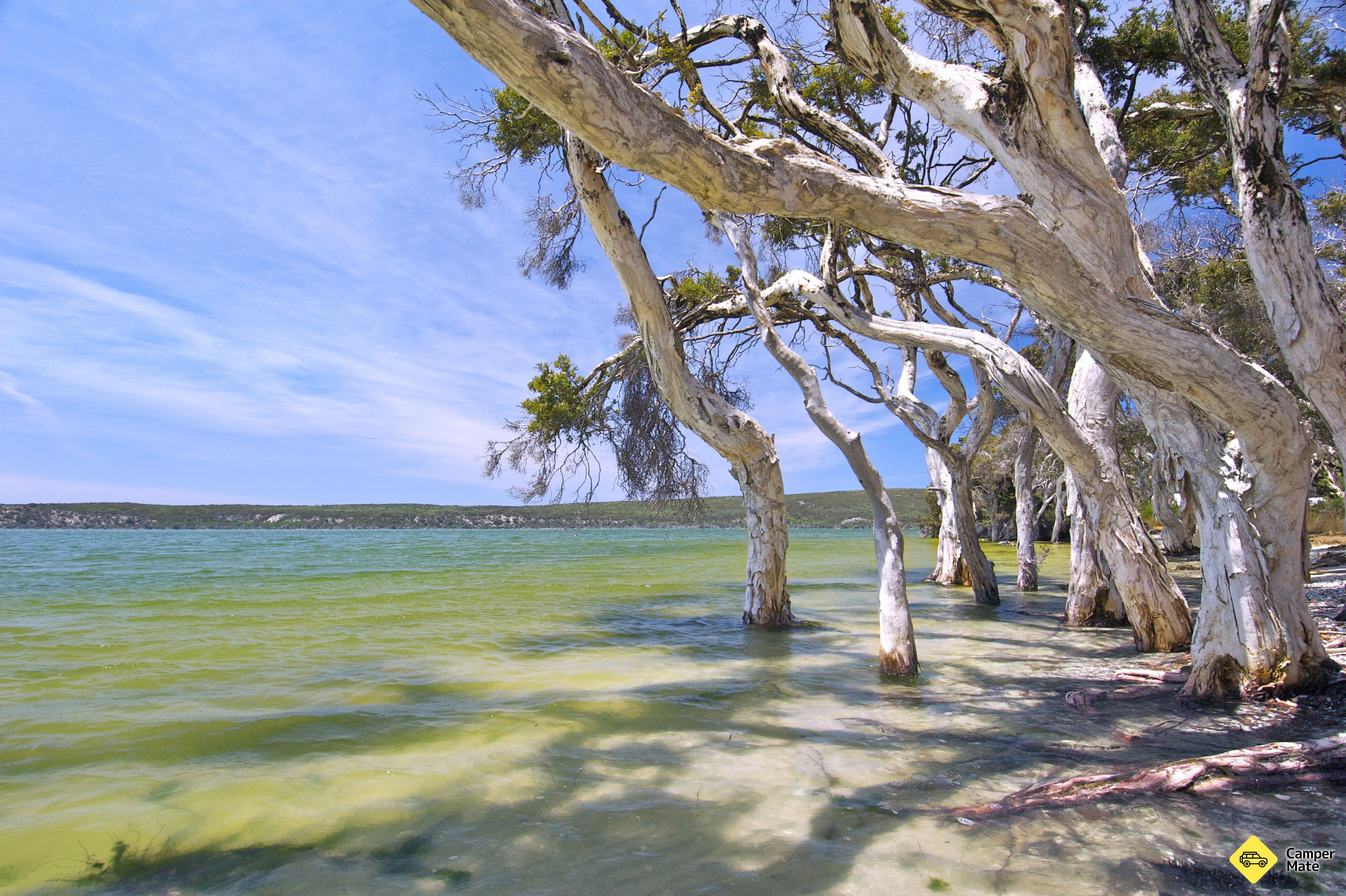 Le camp de Margaret Cove