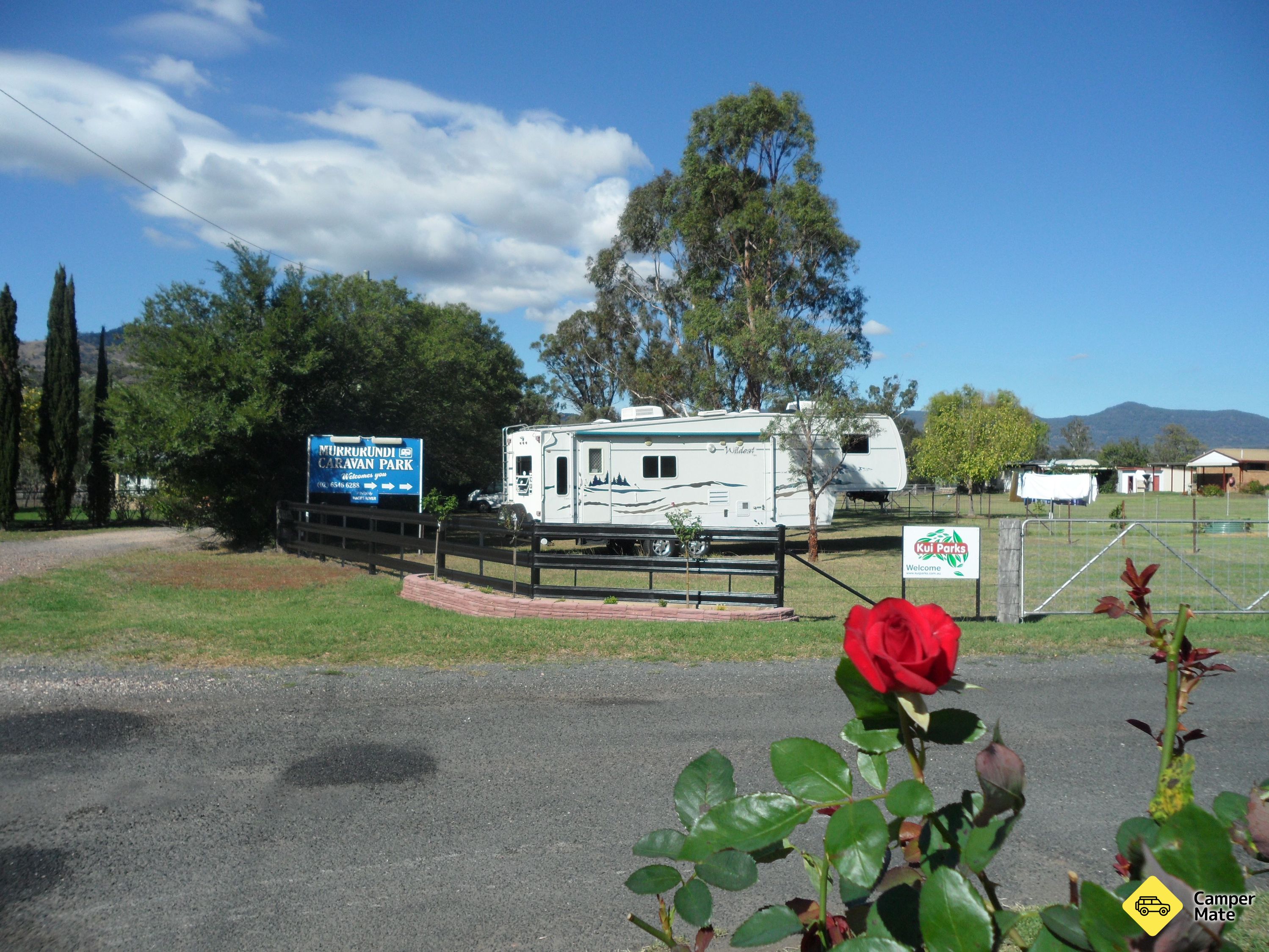 Murrurundi Caravan Park