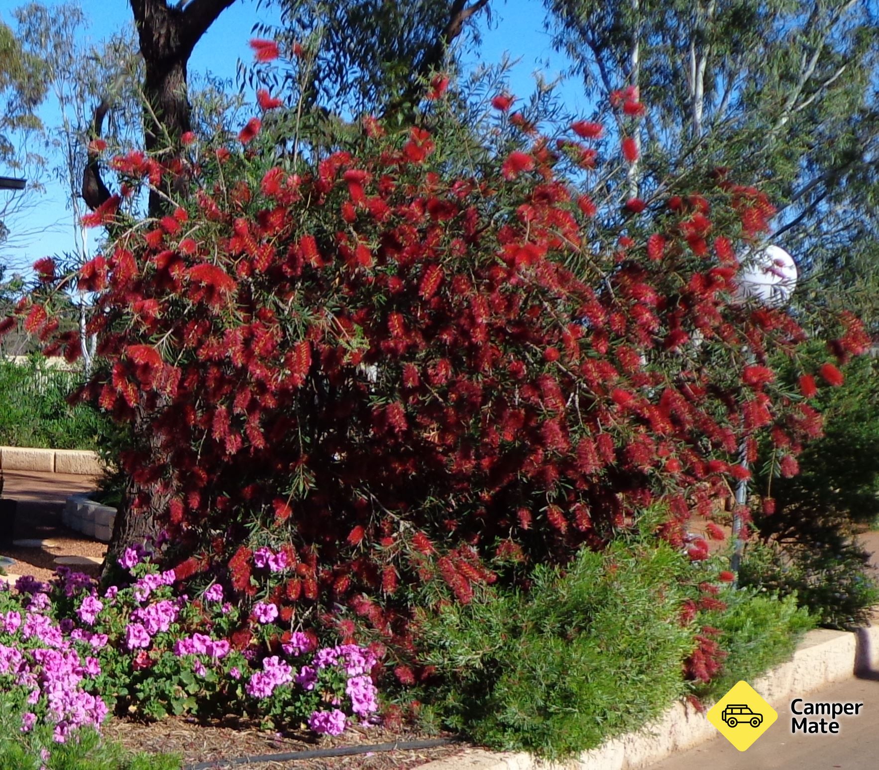 Northam Holiday Park - Image 3