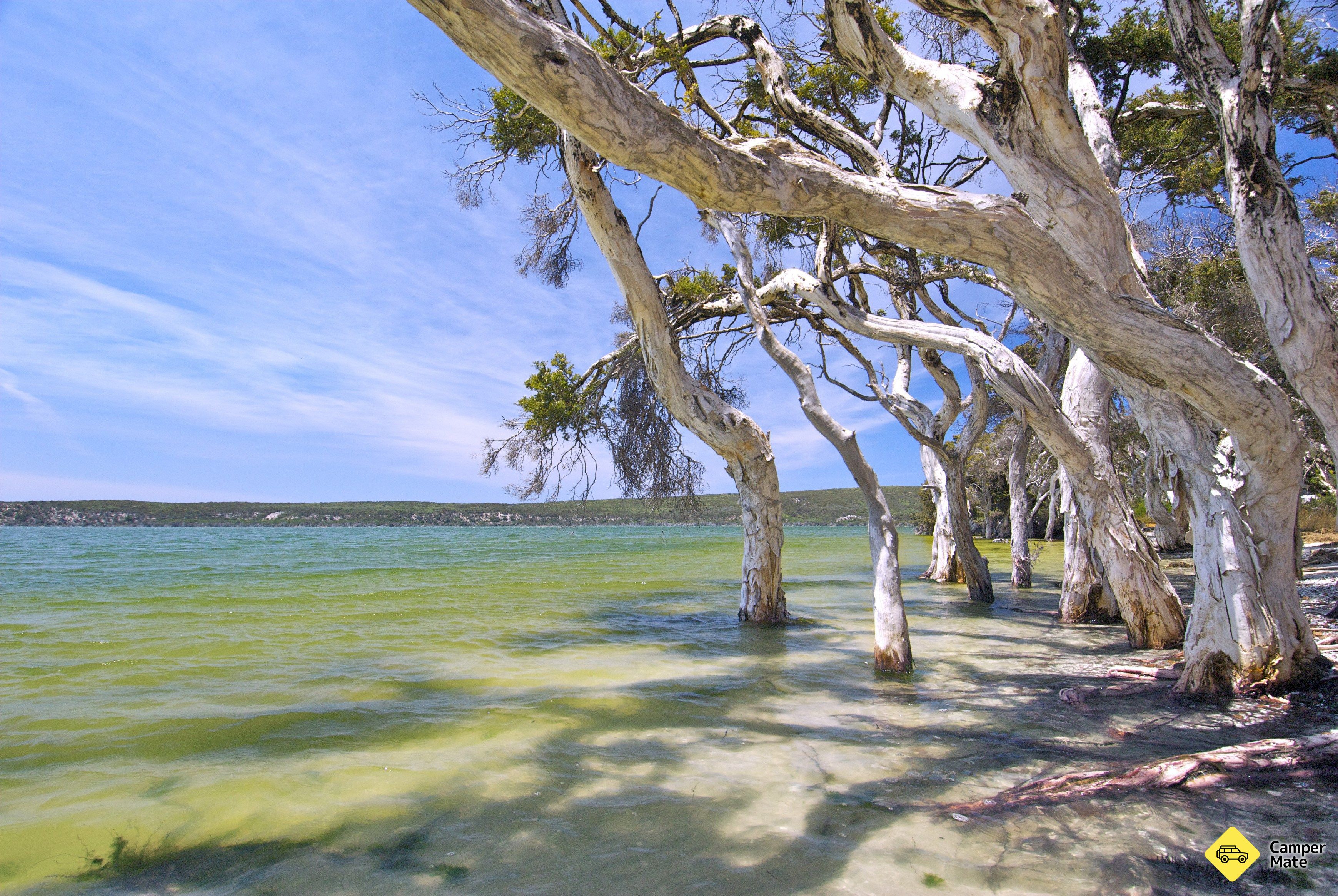 Hôtel Cape Campground