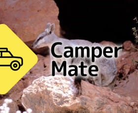 Le camping de Tulki