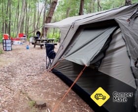 WA Wilderness Catered Camping at Big Brook Arboretum