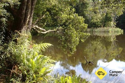 Localização de Weldborough Camping Ground
