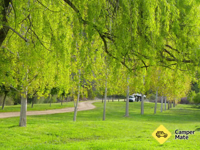 Wee Jasper reserva sitios de camping